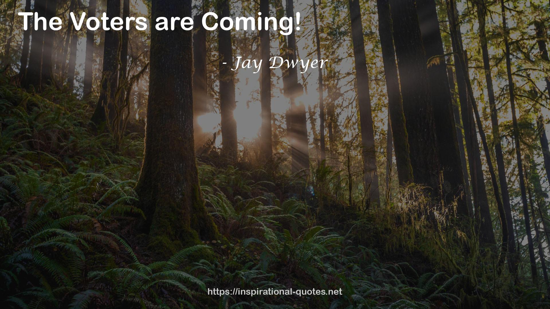 Jay Dwyer QUOTES