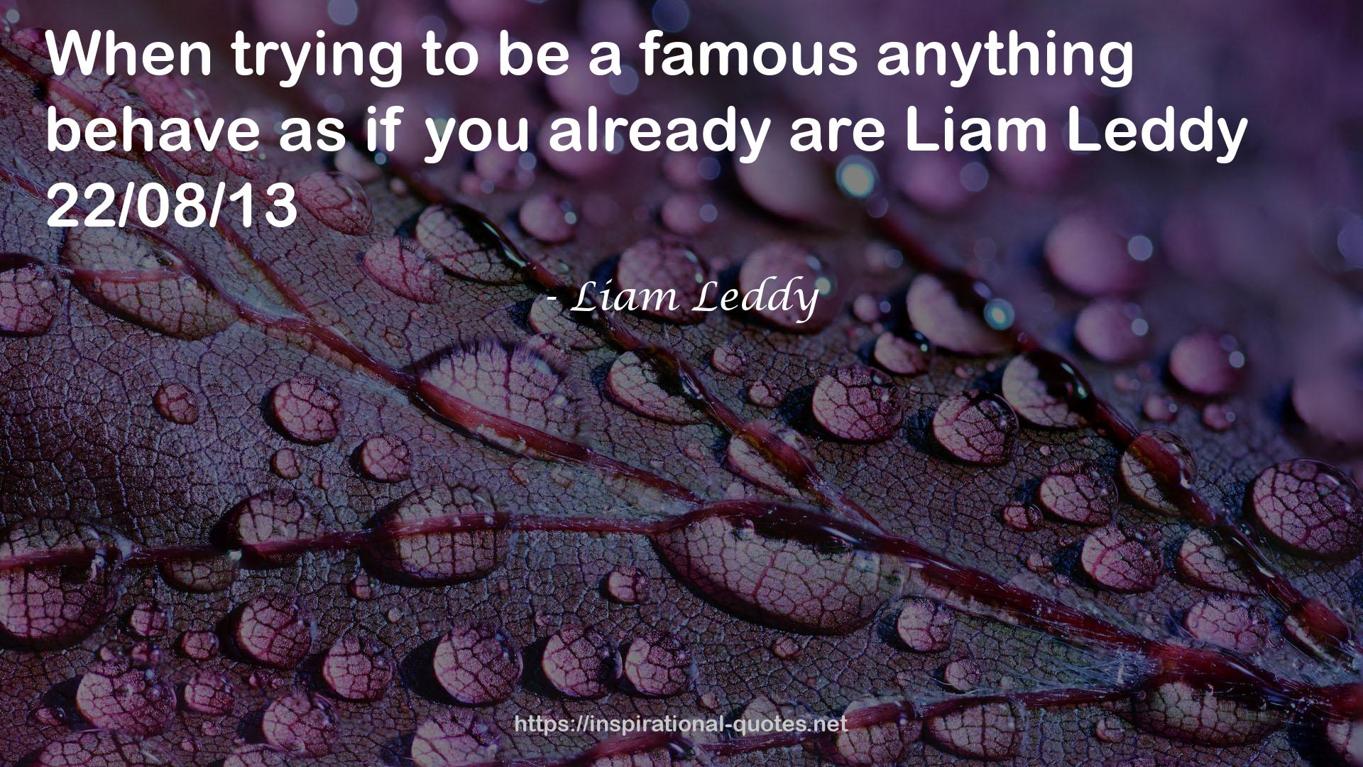 Liam Leddy QUOTES