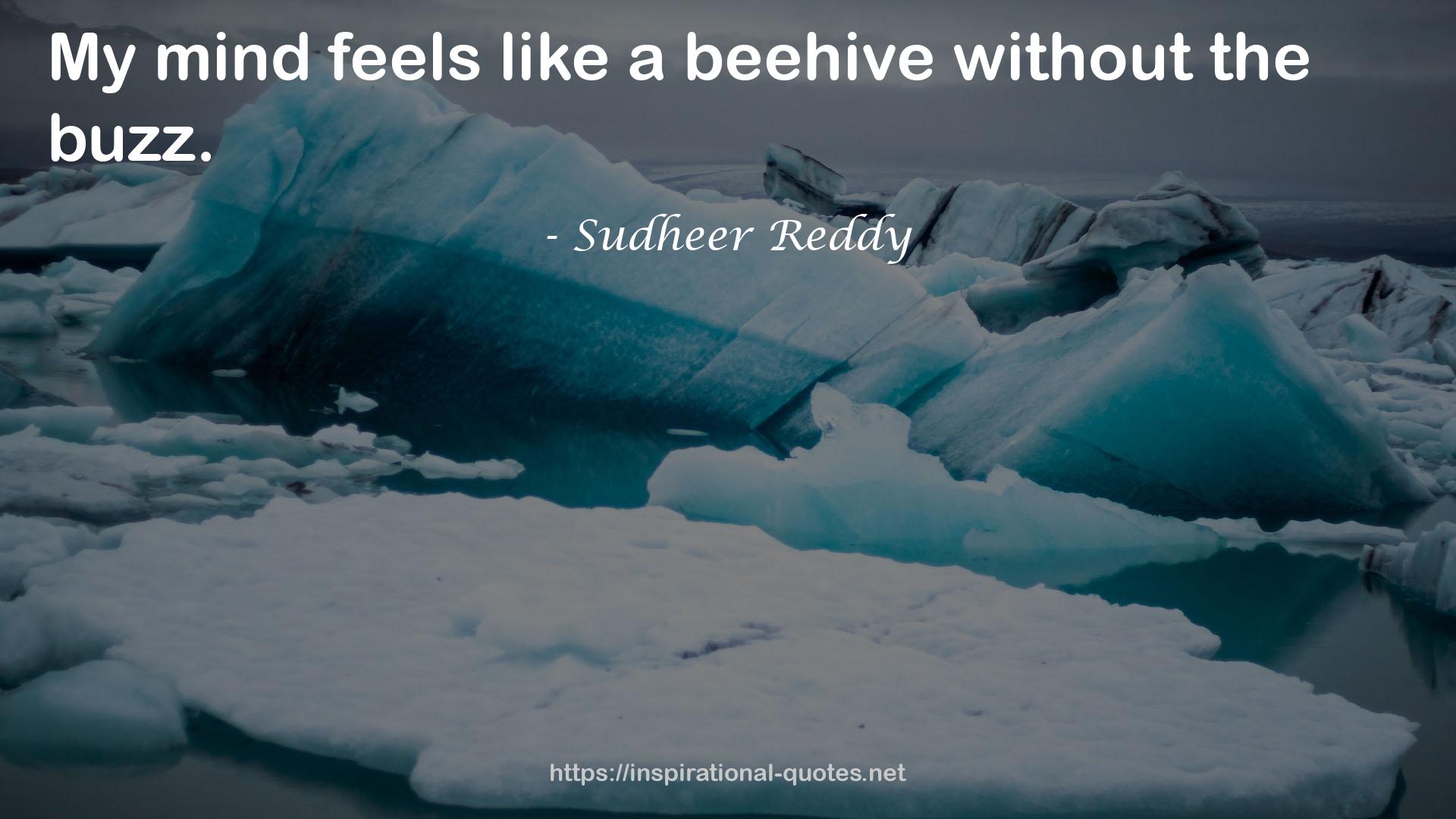 Sudheer Reddy QUOTES