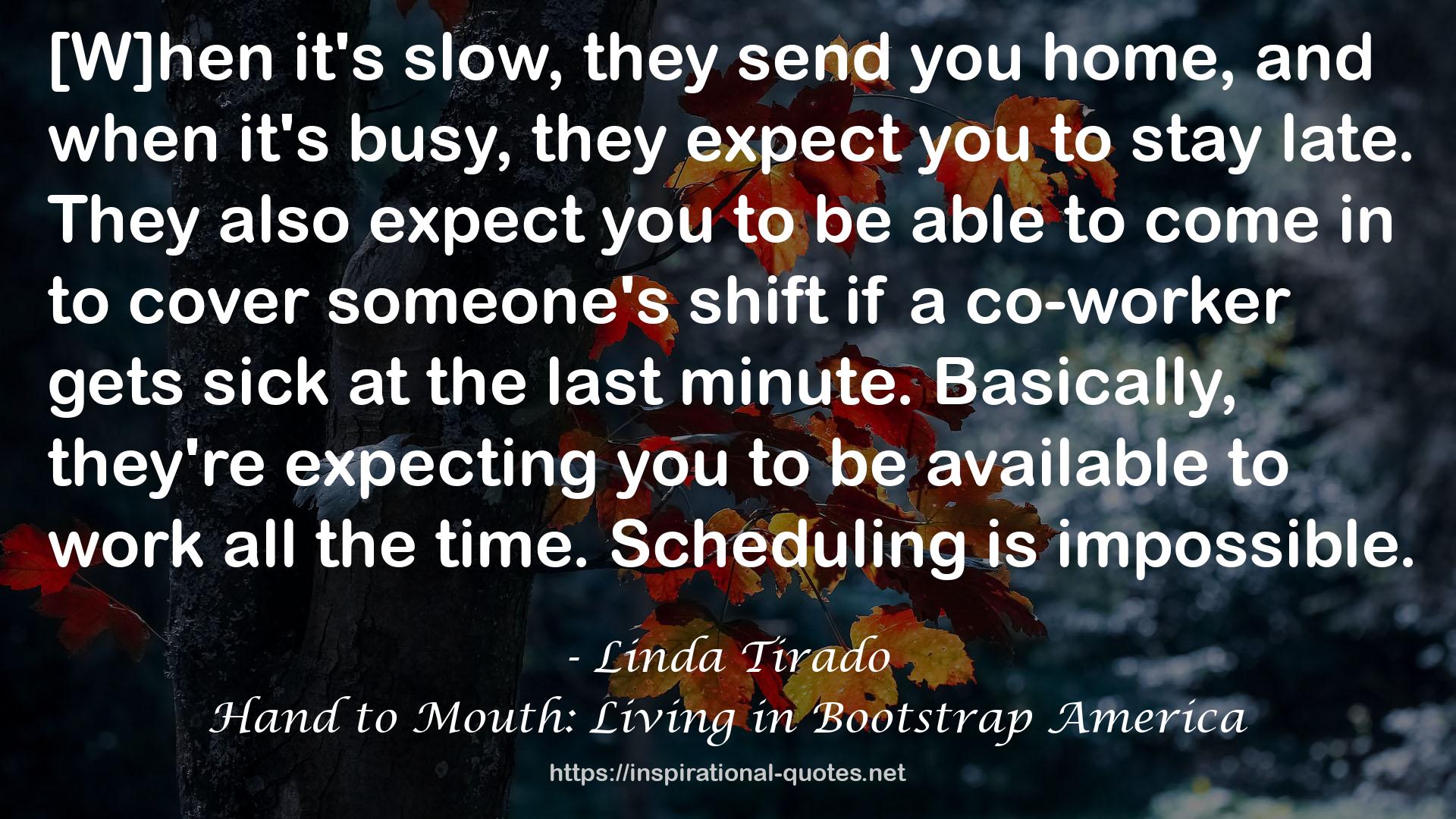 Hand to Mouth: Living in Bootstrap America QUOTES