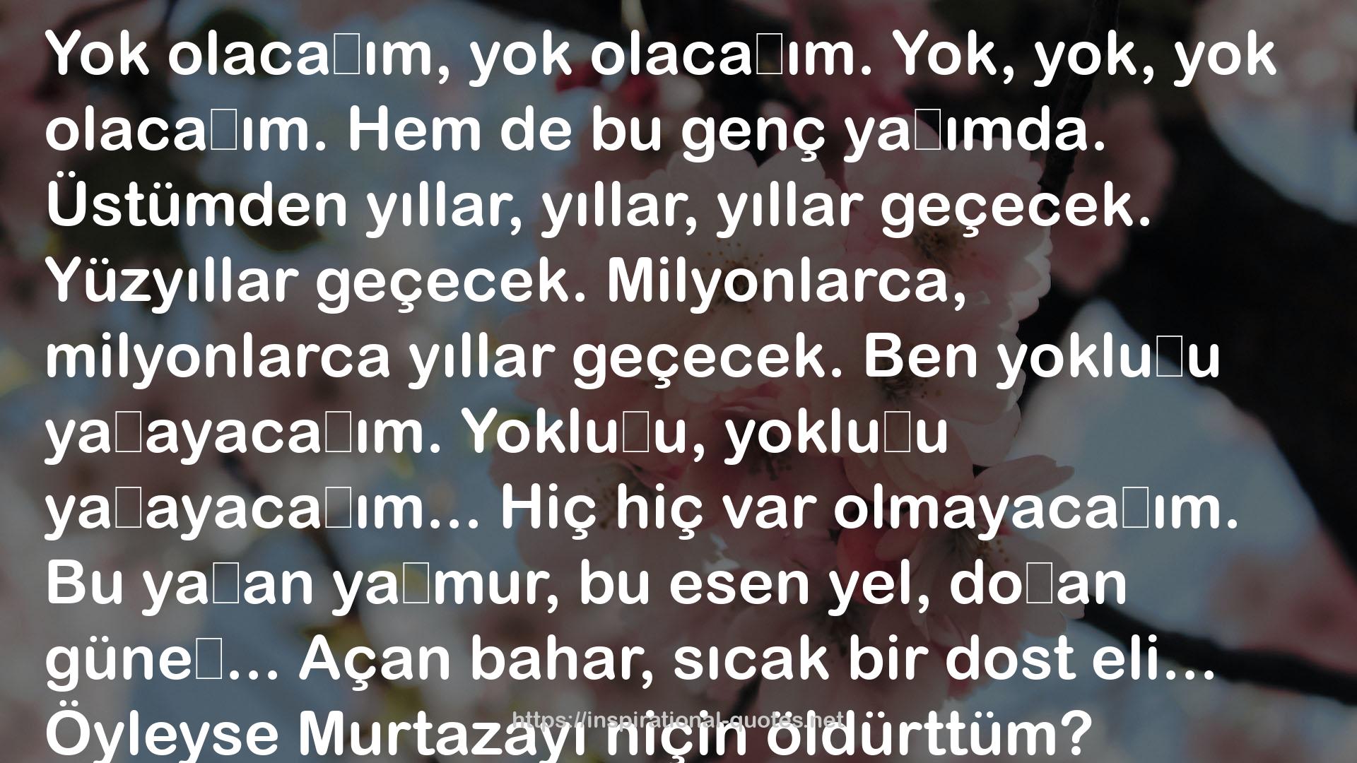 Demirciler Çarşısı Cinayeti (Akçasazın Ağaları, #1) QUOTES