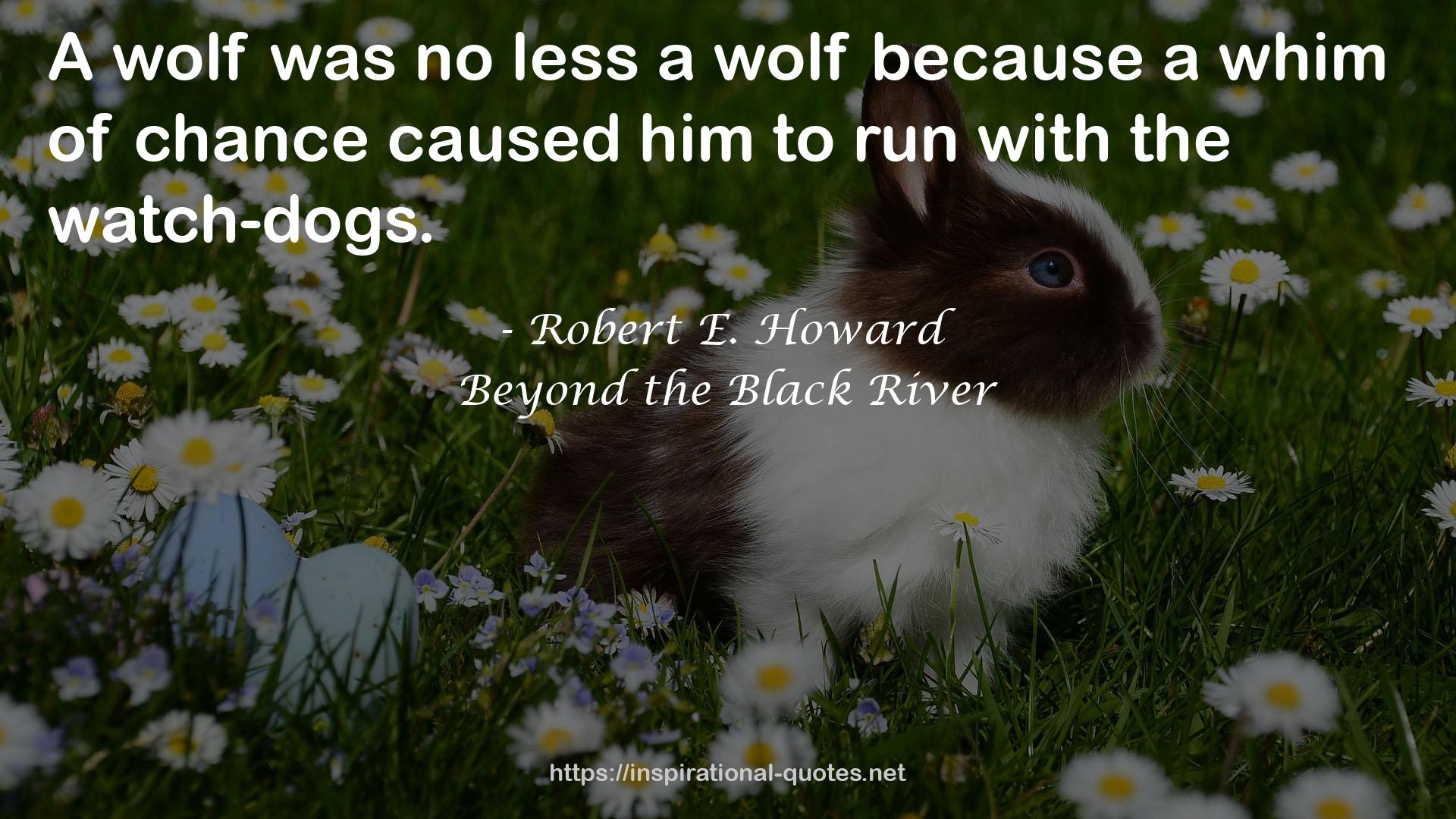 Beyond the Black River QUOTES