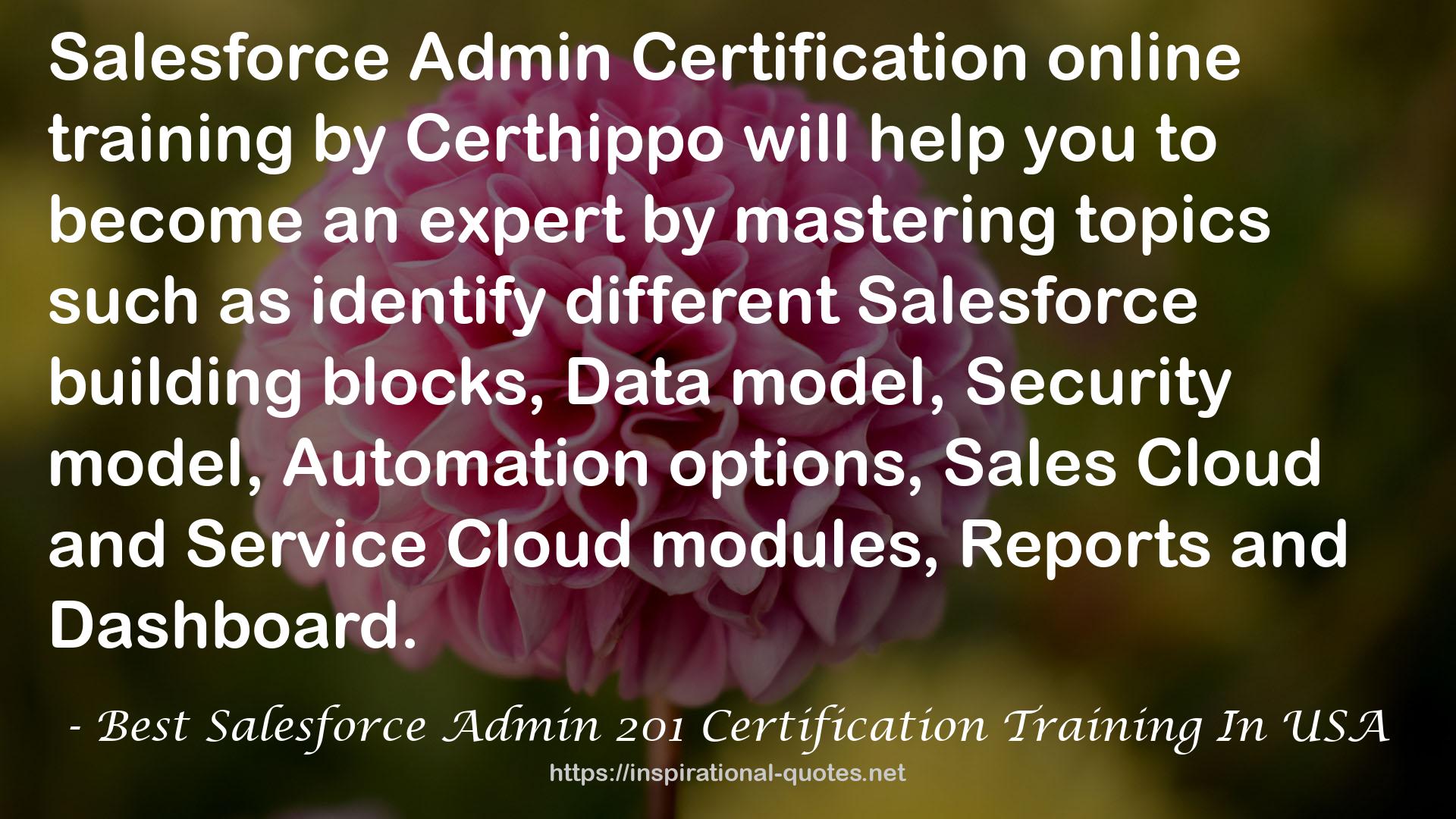 Best Salesforce Admin 201 Certification Training In USA QUOTES