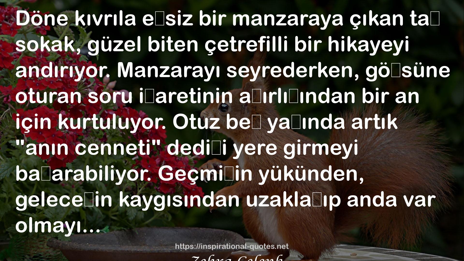 Zehra Çelenk QUOTES