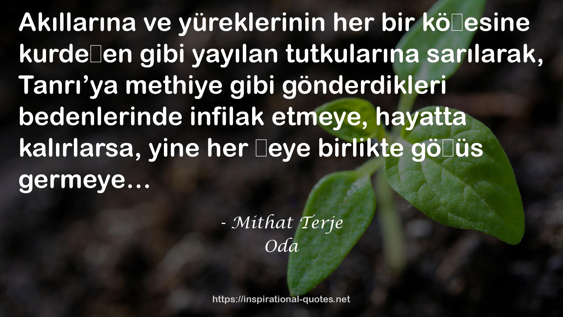 Mithat Terje QUOTES