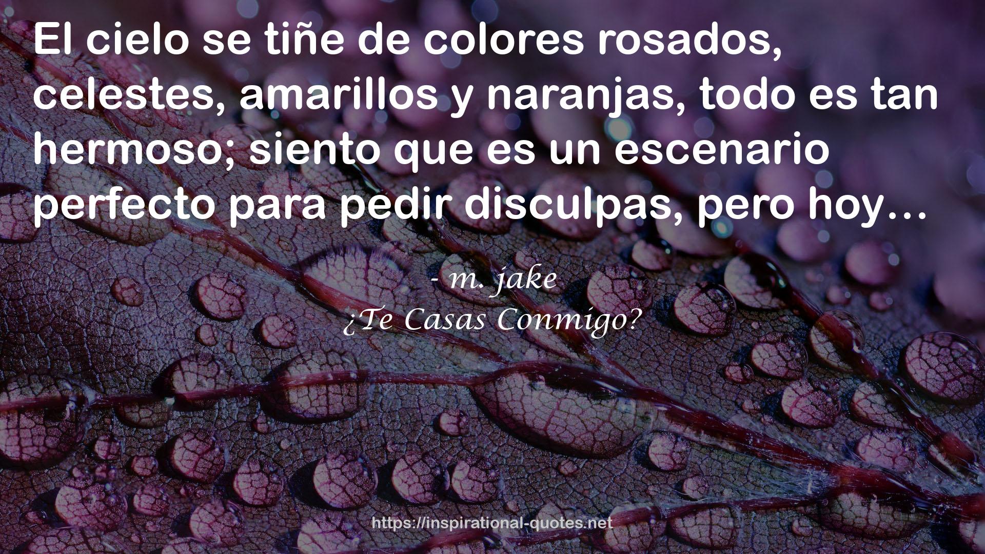 ¿Te Casas Conmigo? QUOTES