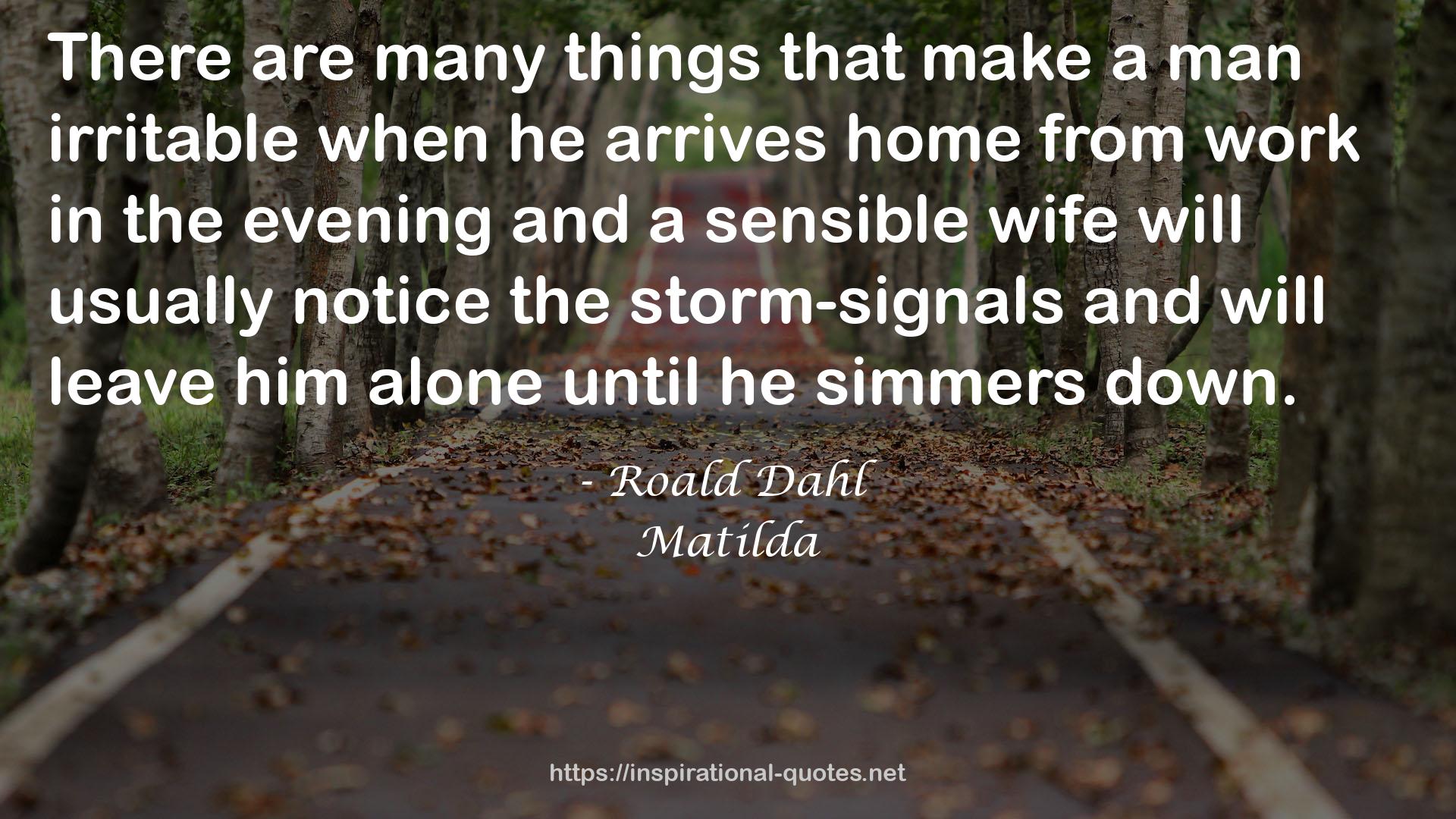 the storm-signals  QUOTES