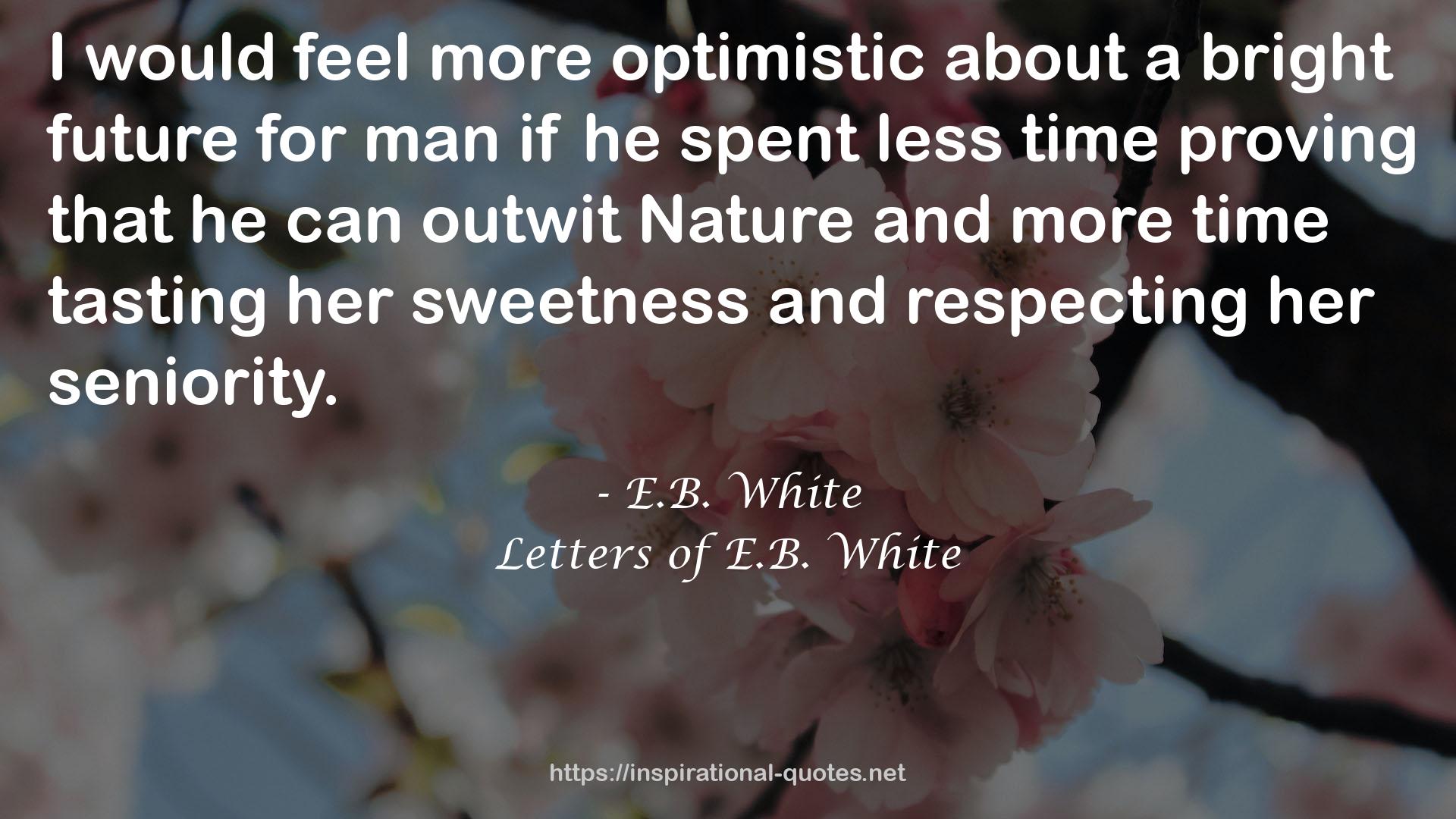 Letters of E.B. White QUOTES