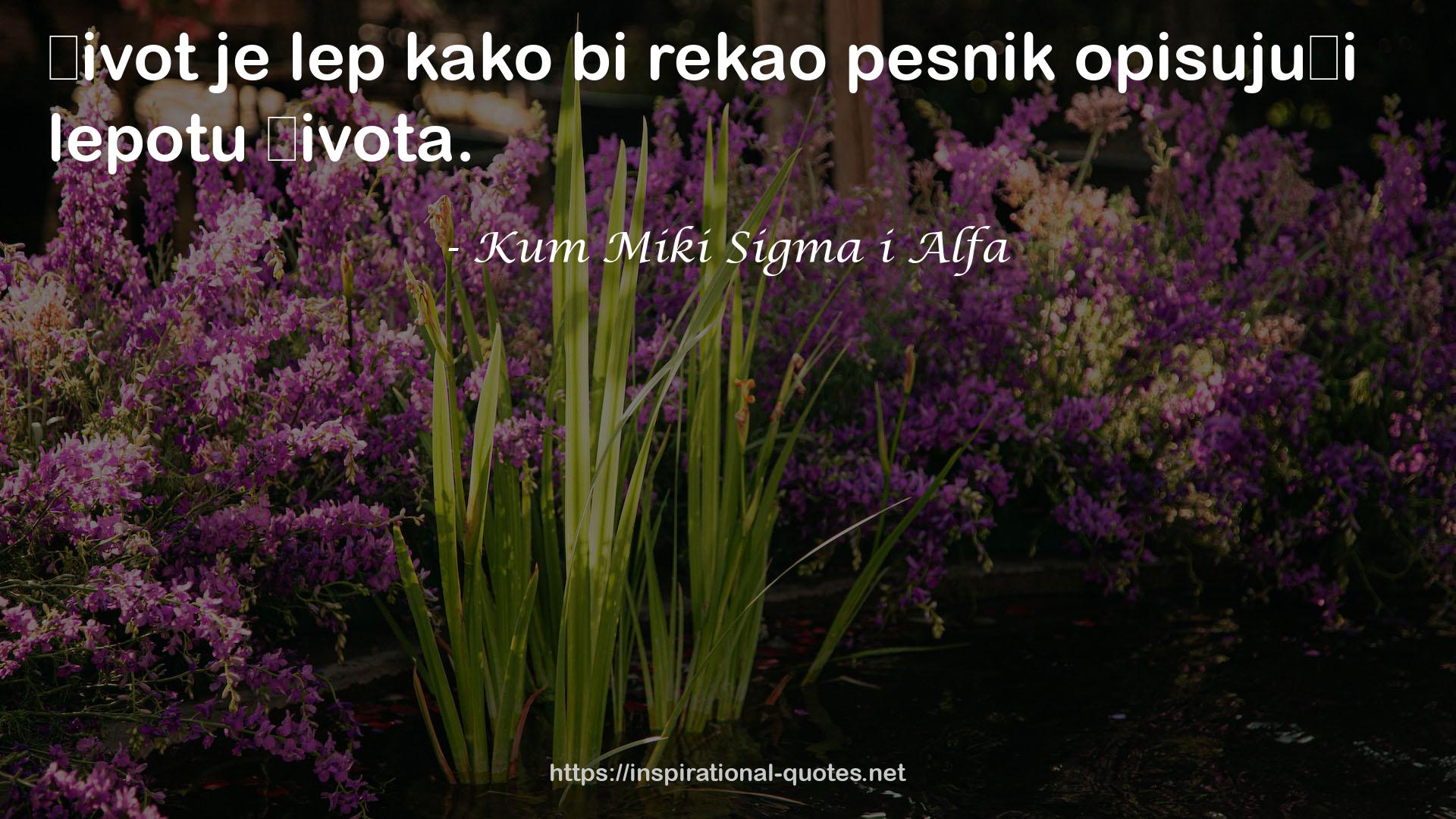 Kum Miki Sigma i Alfa QUOTES