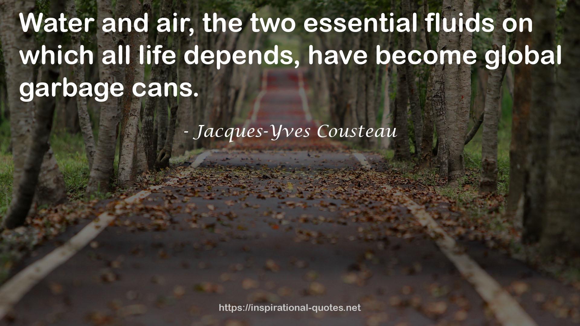 Jacques-Yves Cousteau QUOTES