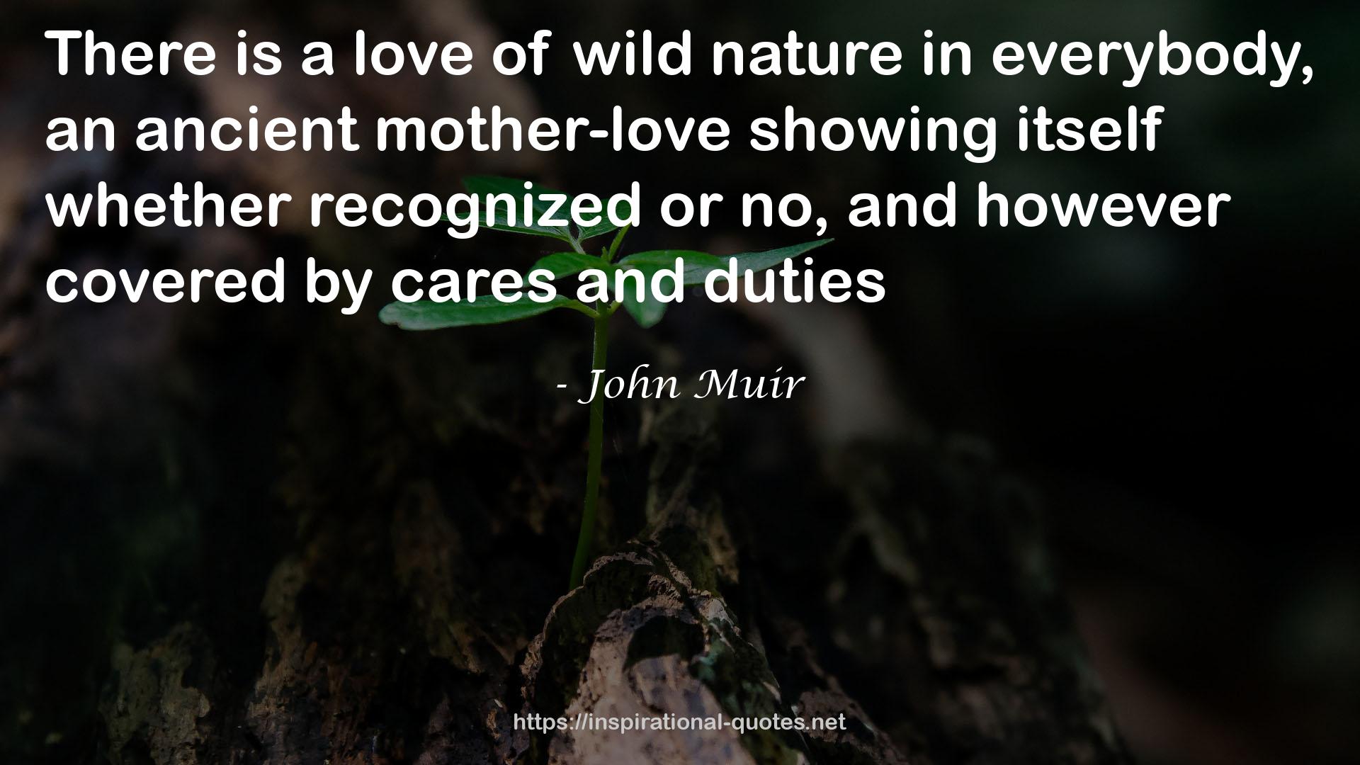 an ancient mother-love  QUOTES