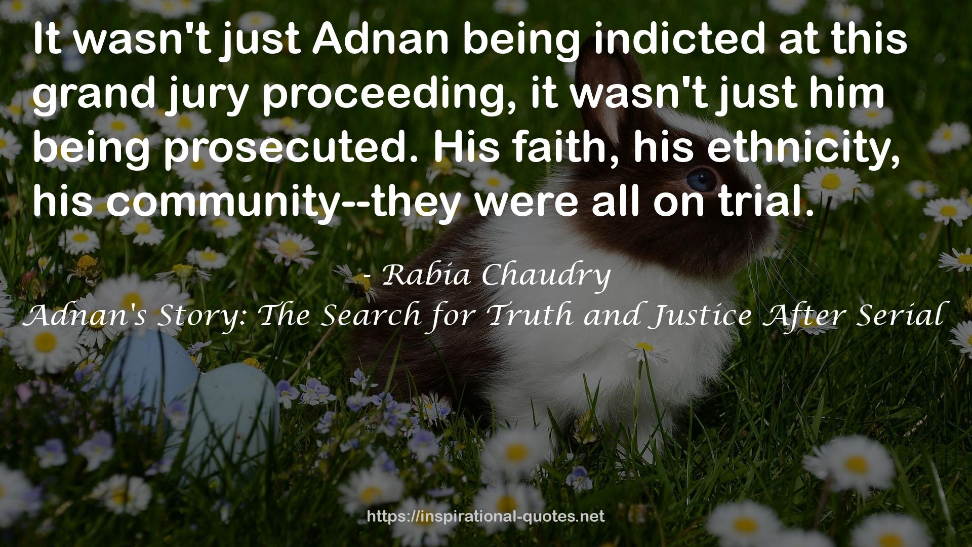 Adnan's Story: The Search for Truth and Justice After Serial QUOTES