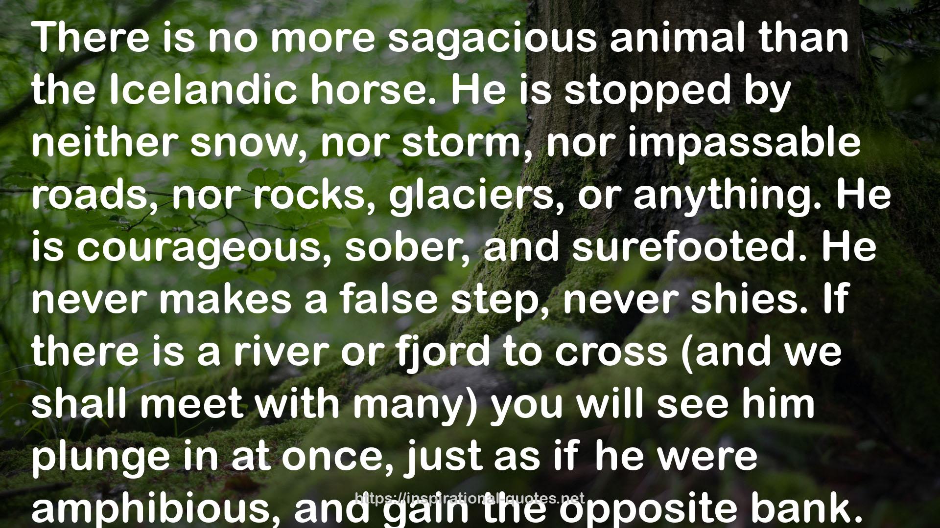 no more sagacious animal  QUOTES