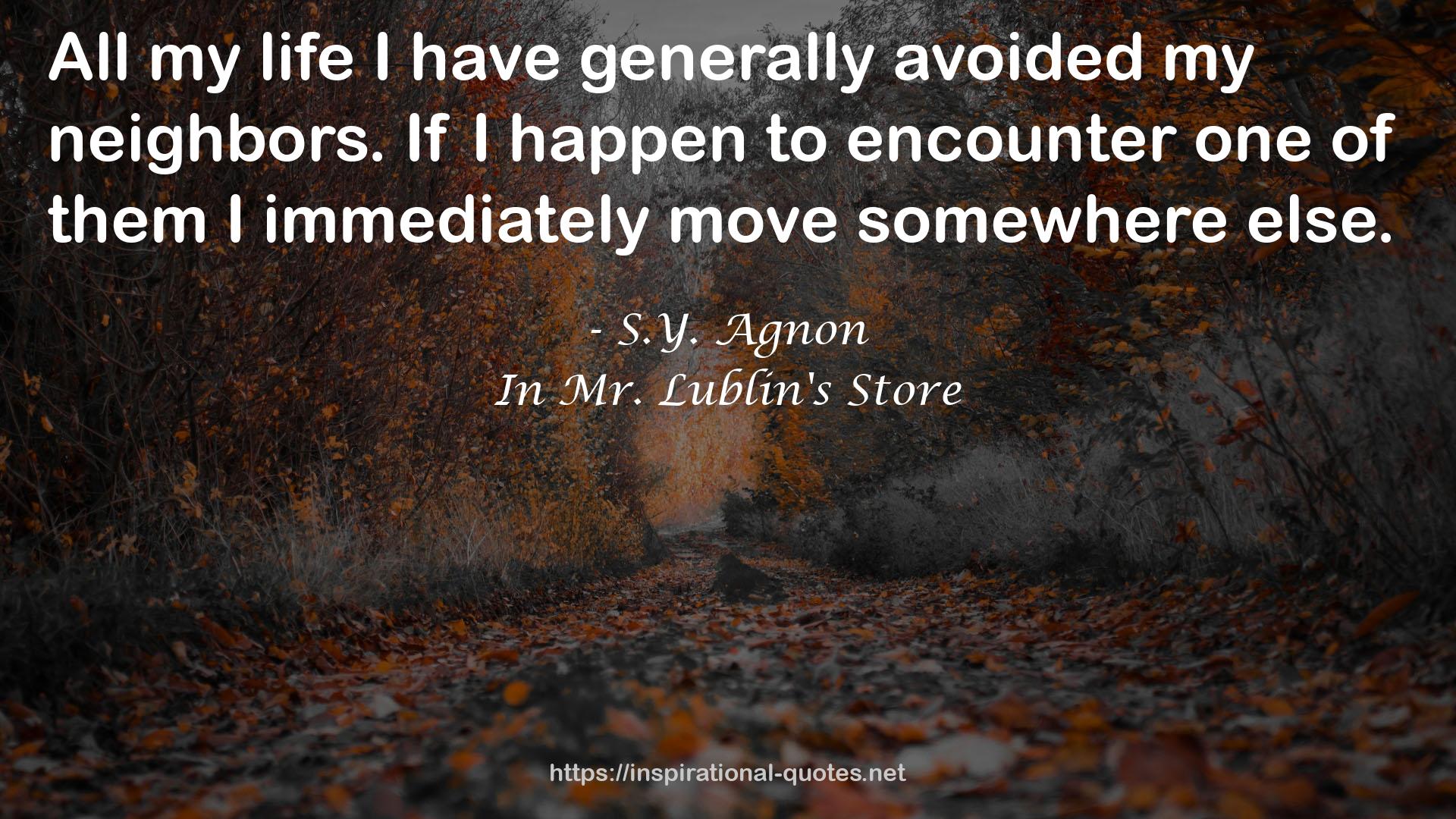 In Mr. Lublin's Store QUOTES