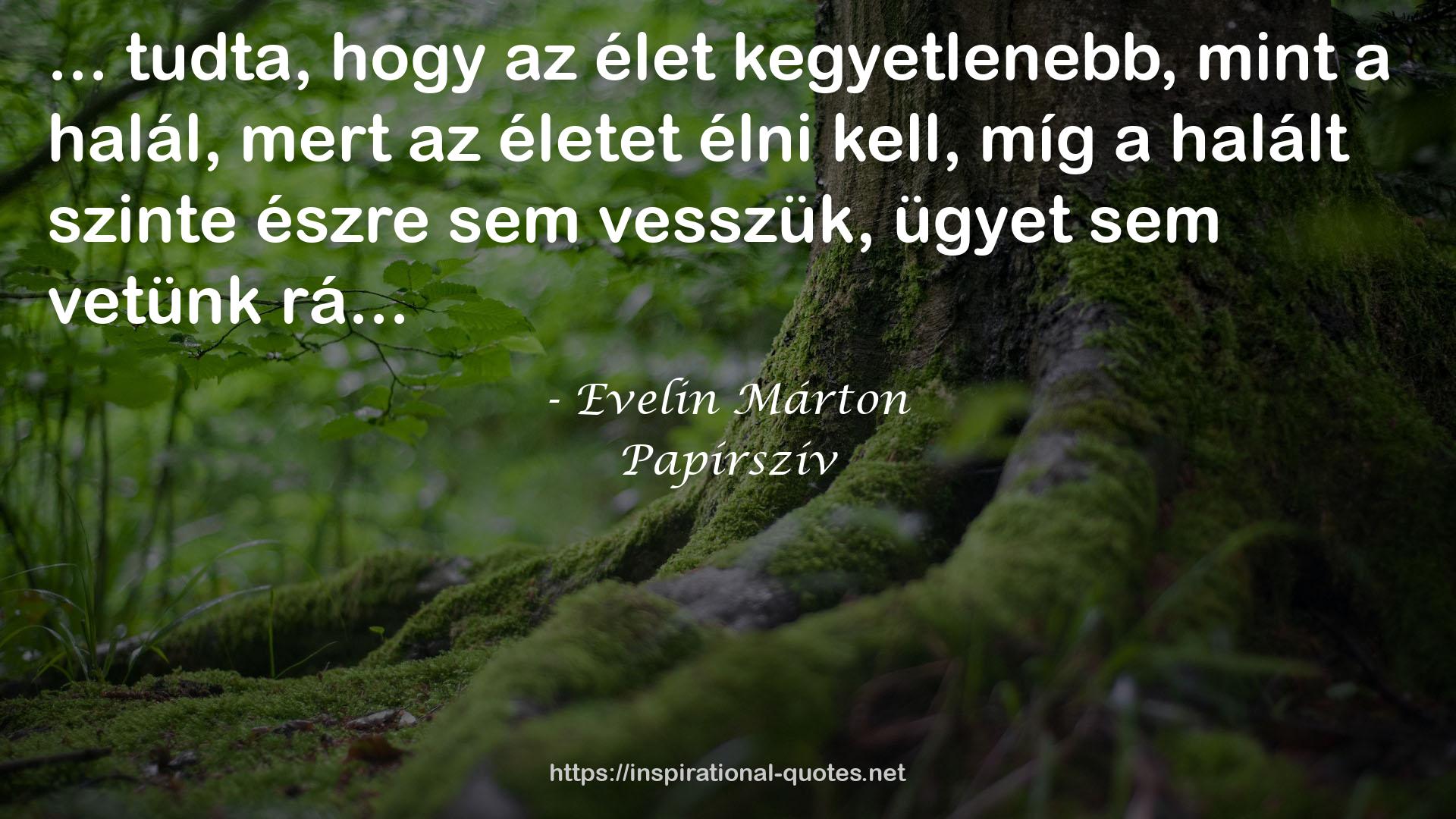 Evelin Márton QUOTES