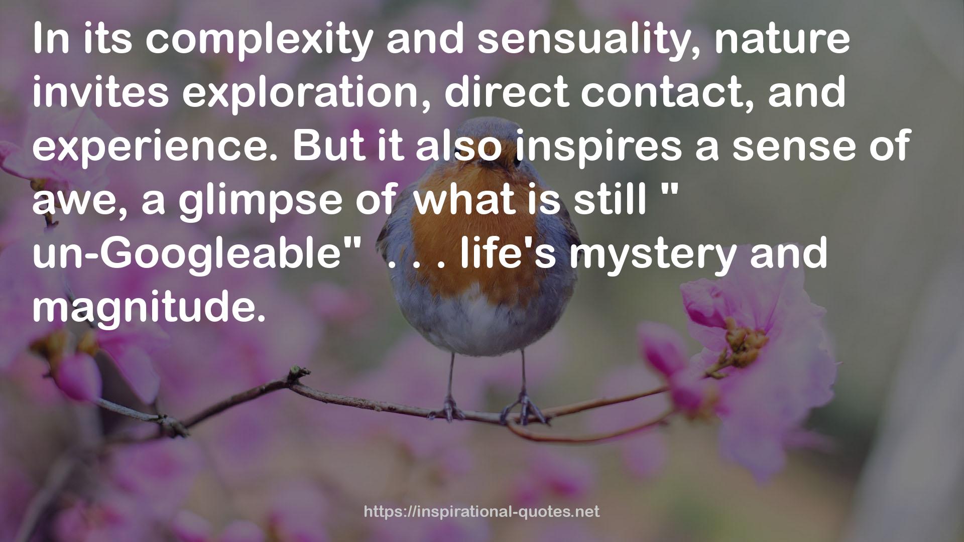 life's mystery  QUOTES