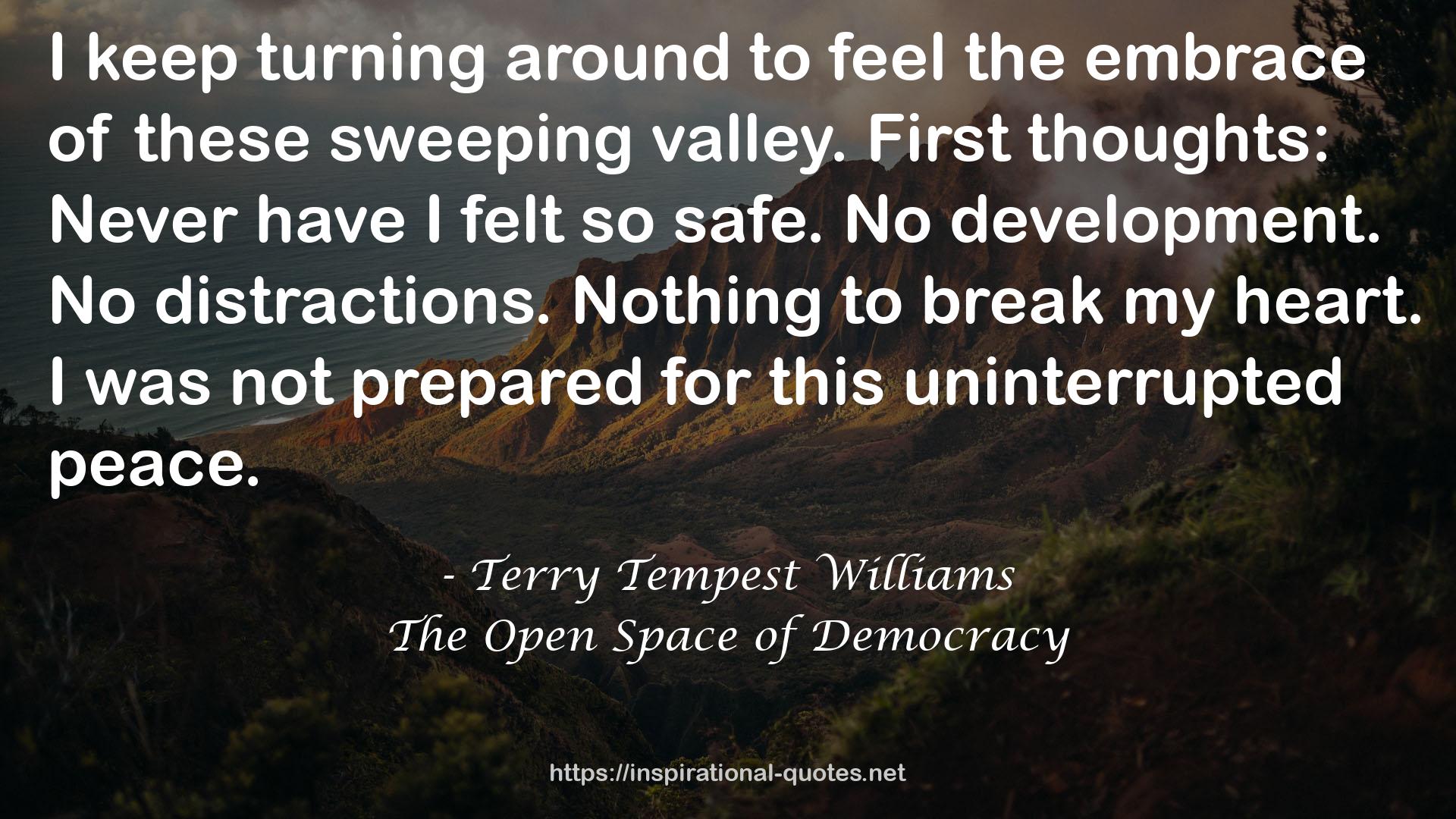 The Open Space of Democracy QUOTES