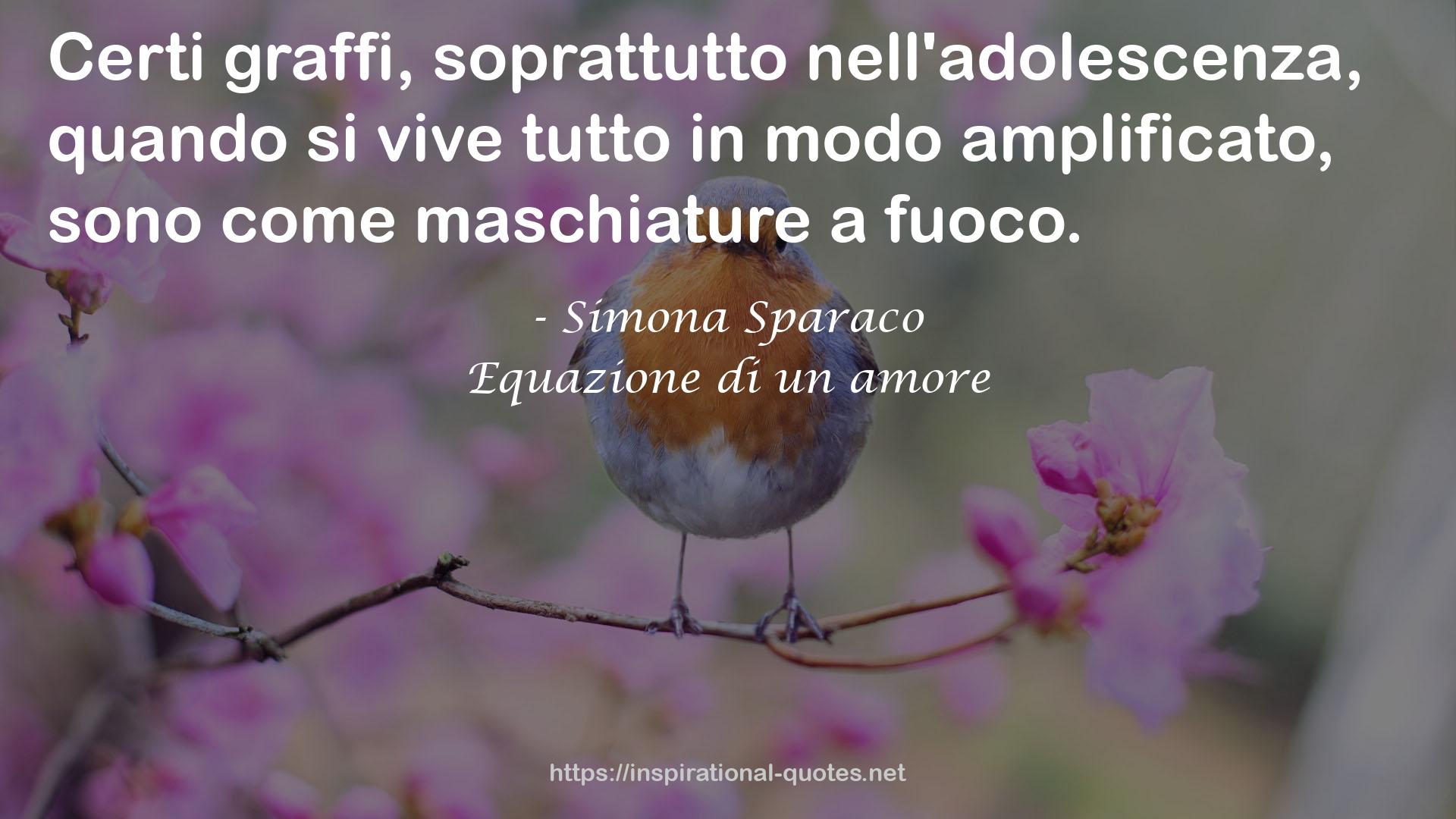 Equazione di un amore QUOTES