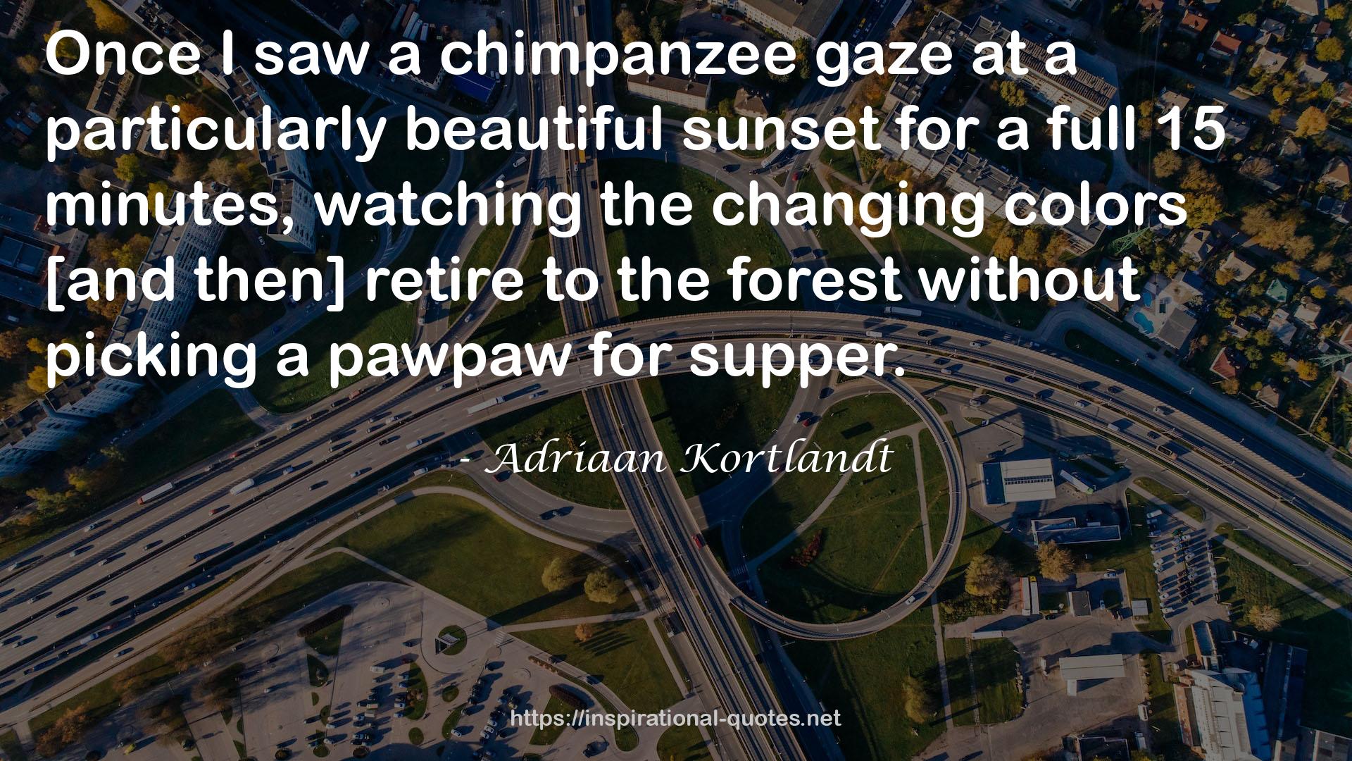 chimpanzee  QUOTES