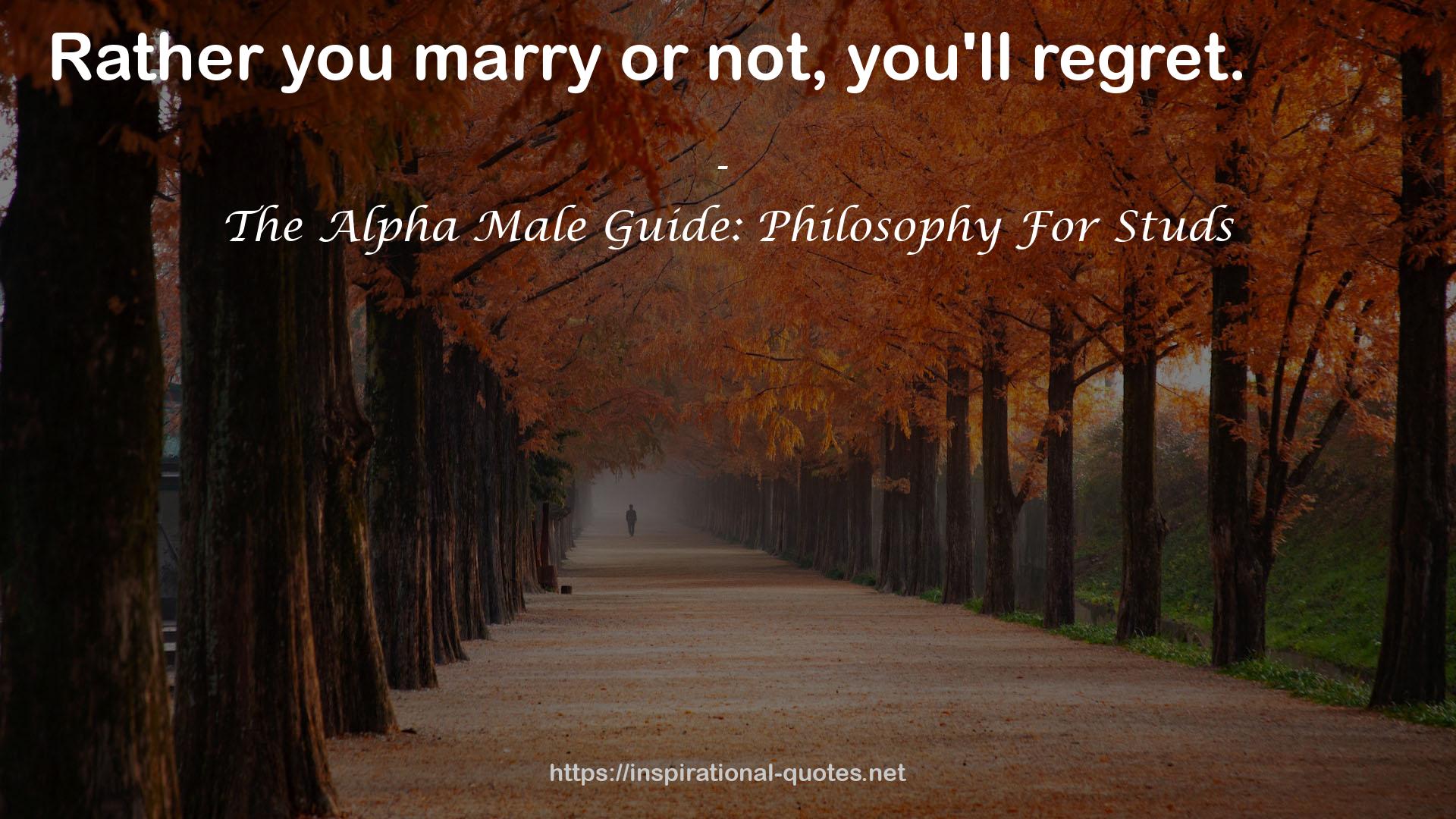 The Alpha Male Guide: Philosophy For Studs QUOTES