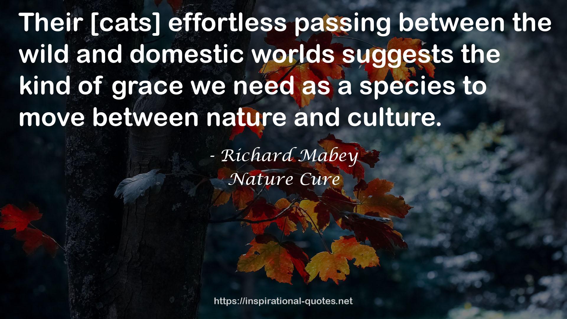 the wild and domestic worlds  QUOTES