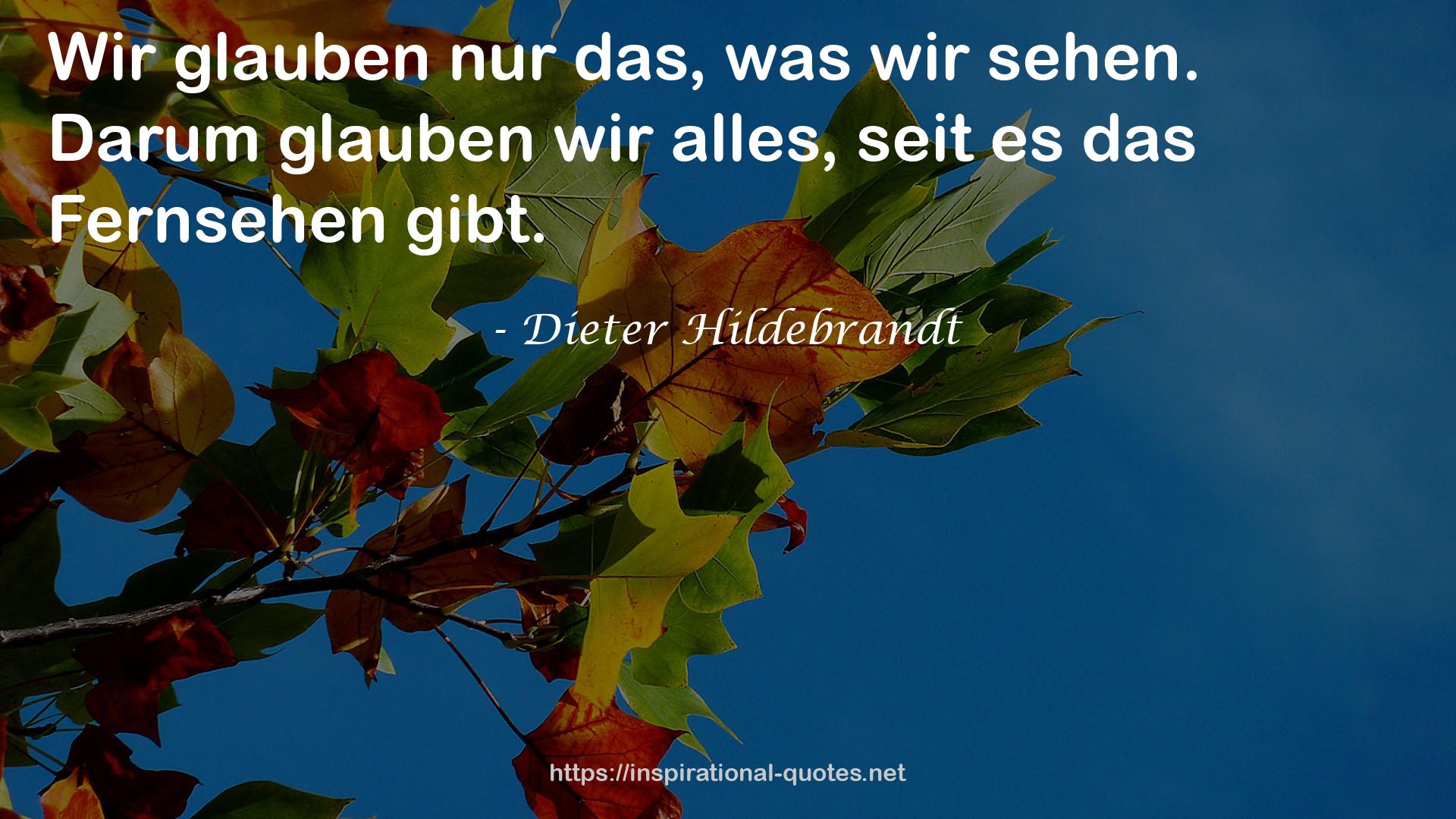 Dieter Hildebrandt QUOTES