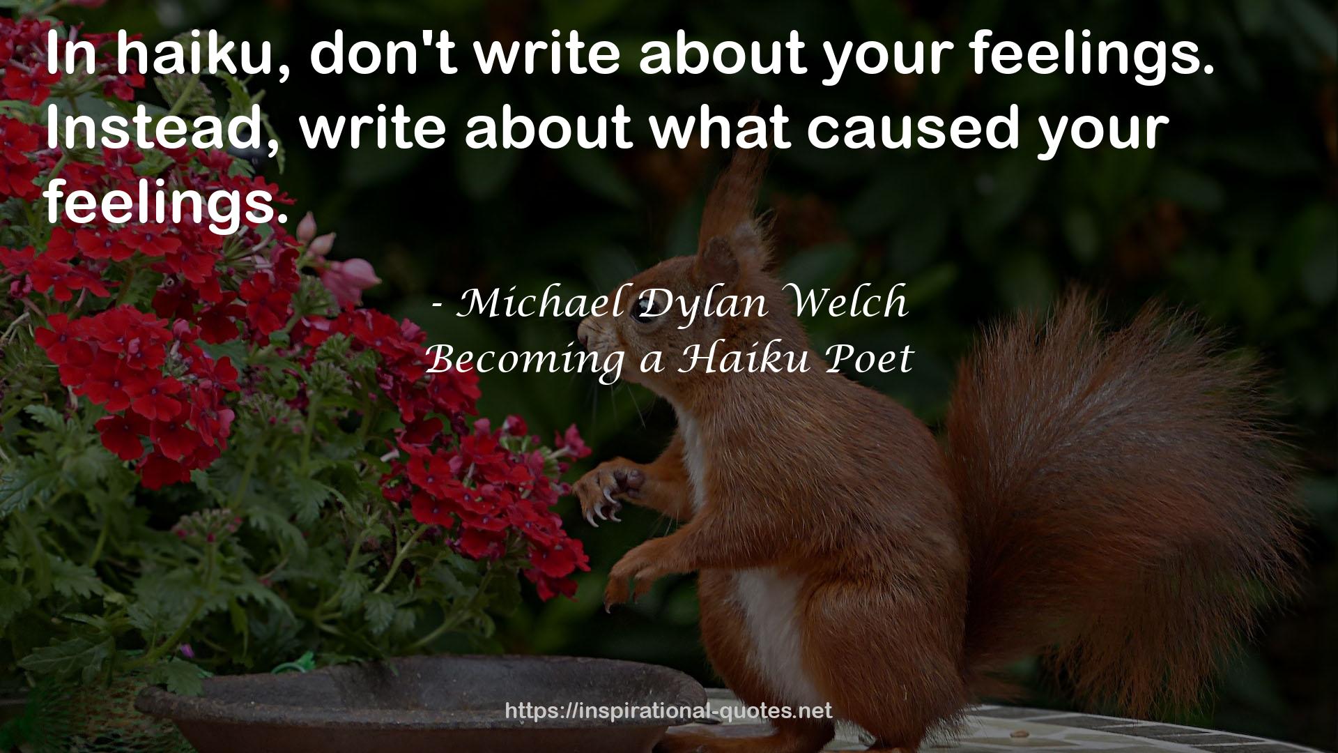 Michael Dylan Welch QUOTES