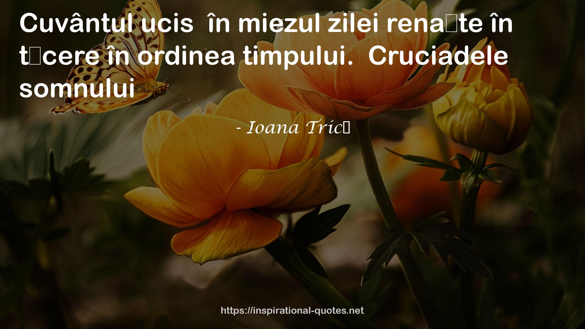 Ioana Trică QUOTES