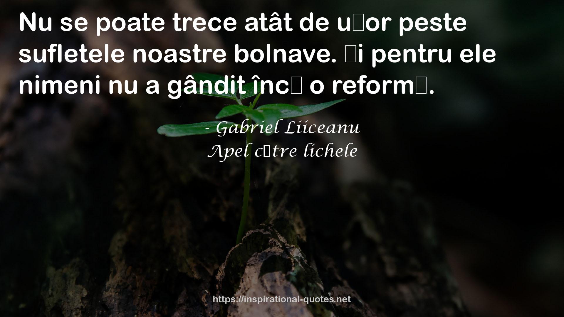 Apel către lichele QUOTES