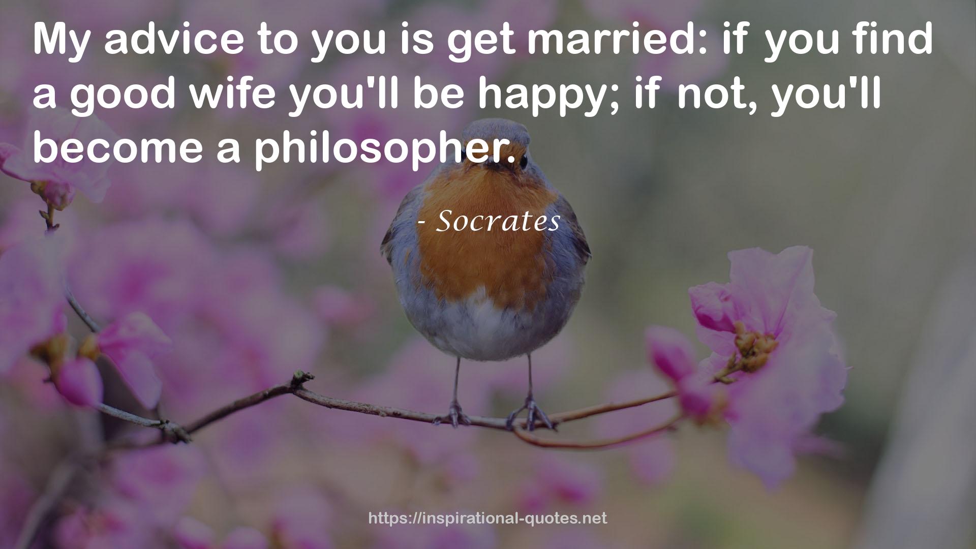 a good wife  QUOTES