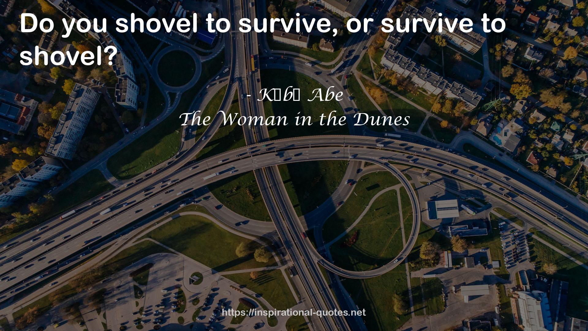 The Woman in the Dunes QUOTES