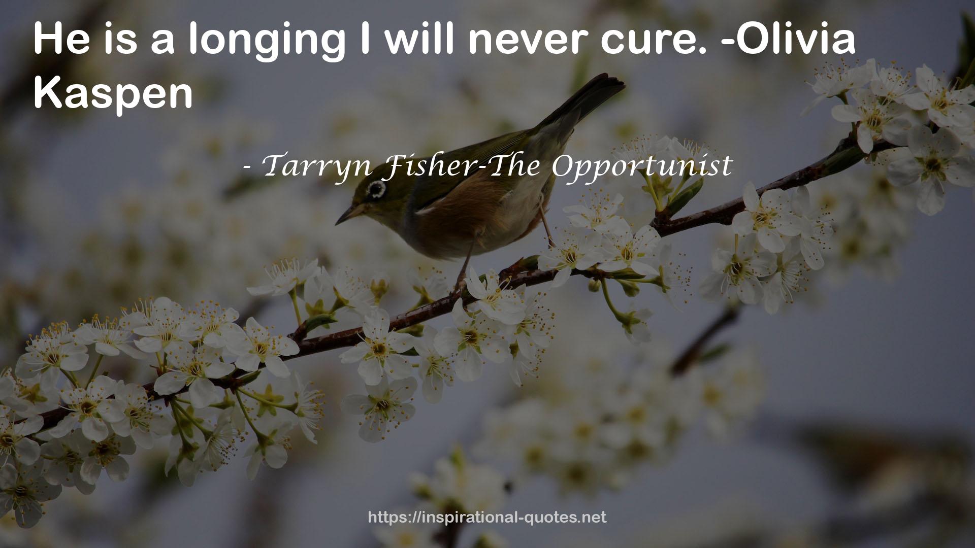 Tarryn Fisher-The Opportunist QUOTES
