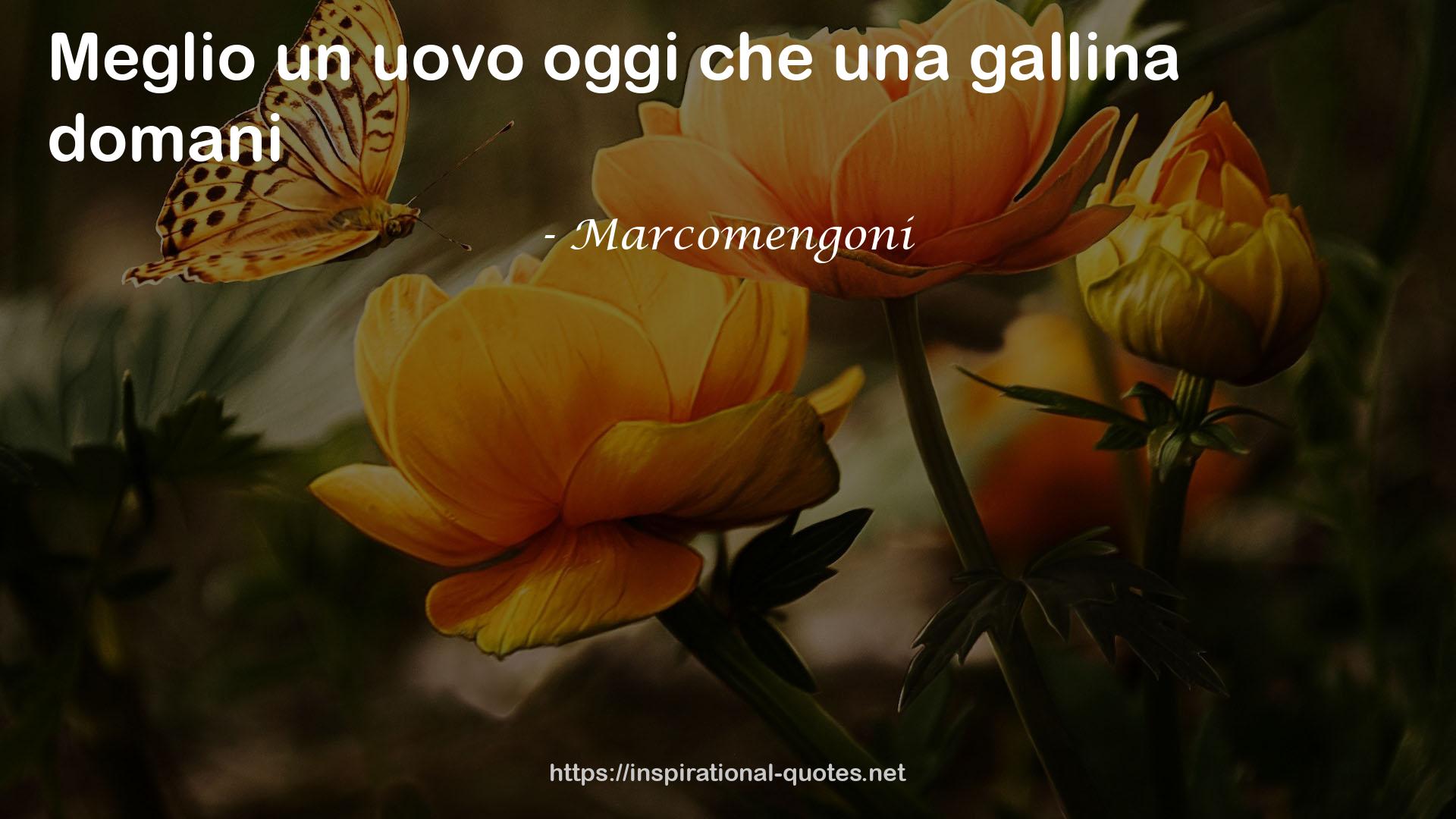 Marcomengoni QUOTES