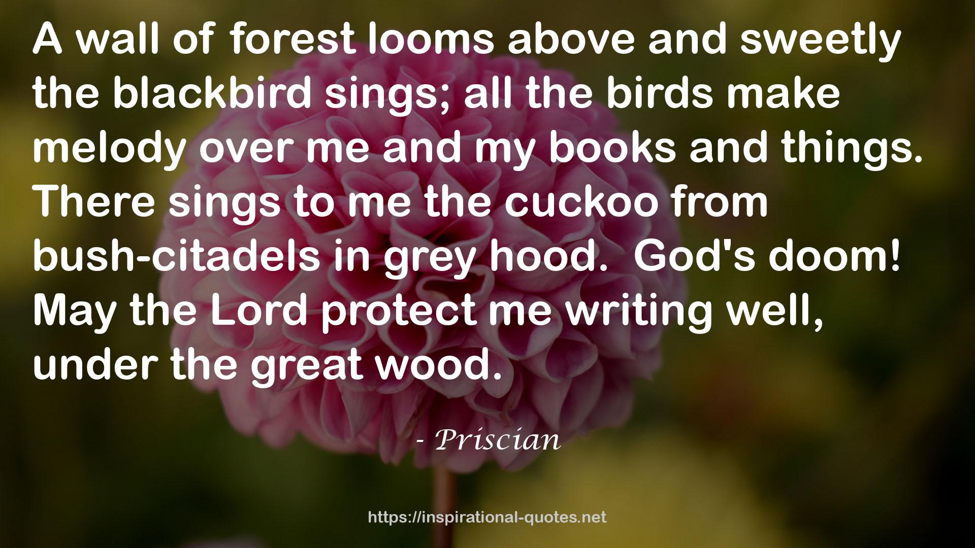 Priscian QUOTES