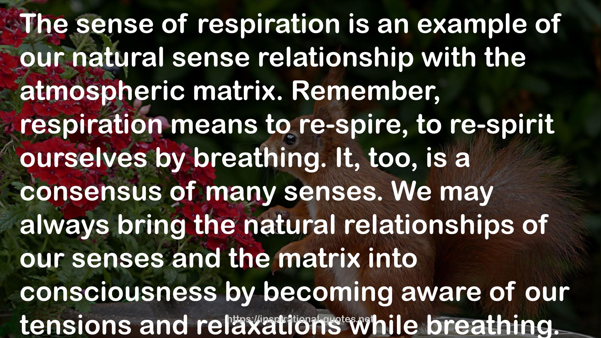 relaxations  QUOTES