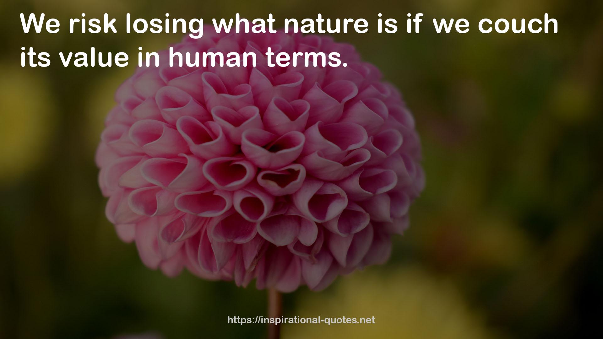 what nature  QUOTES