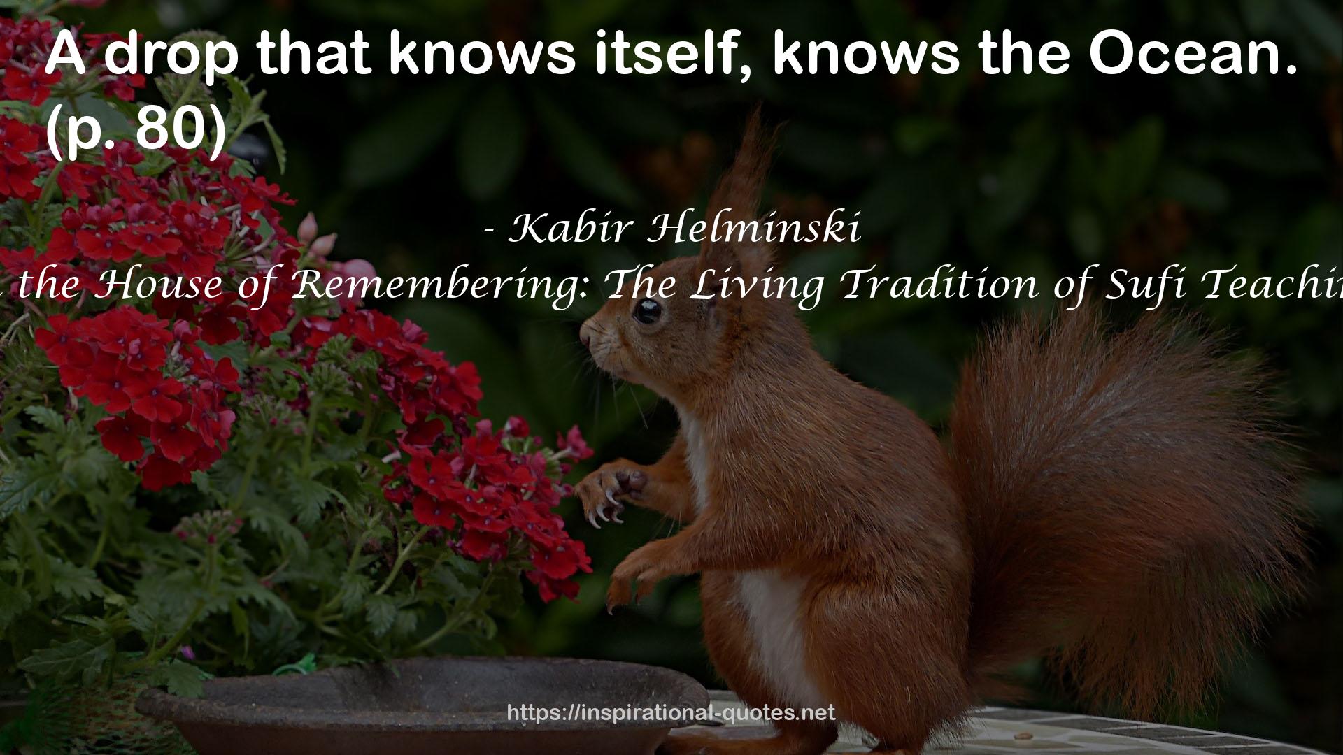 In the House of Remembering: The Living Tradition of Sufi Teaching QUOTES
