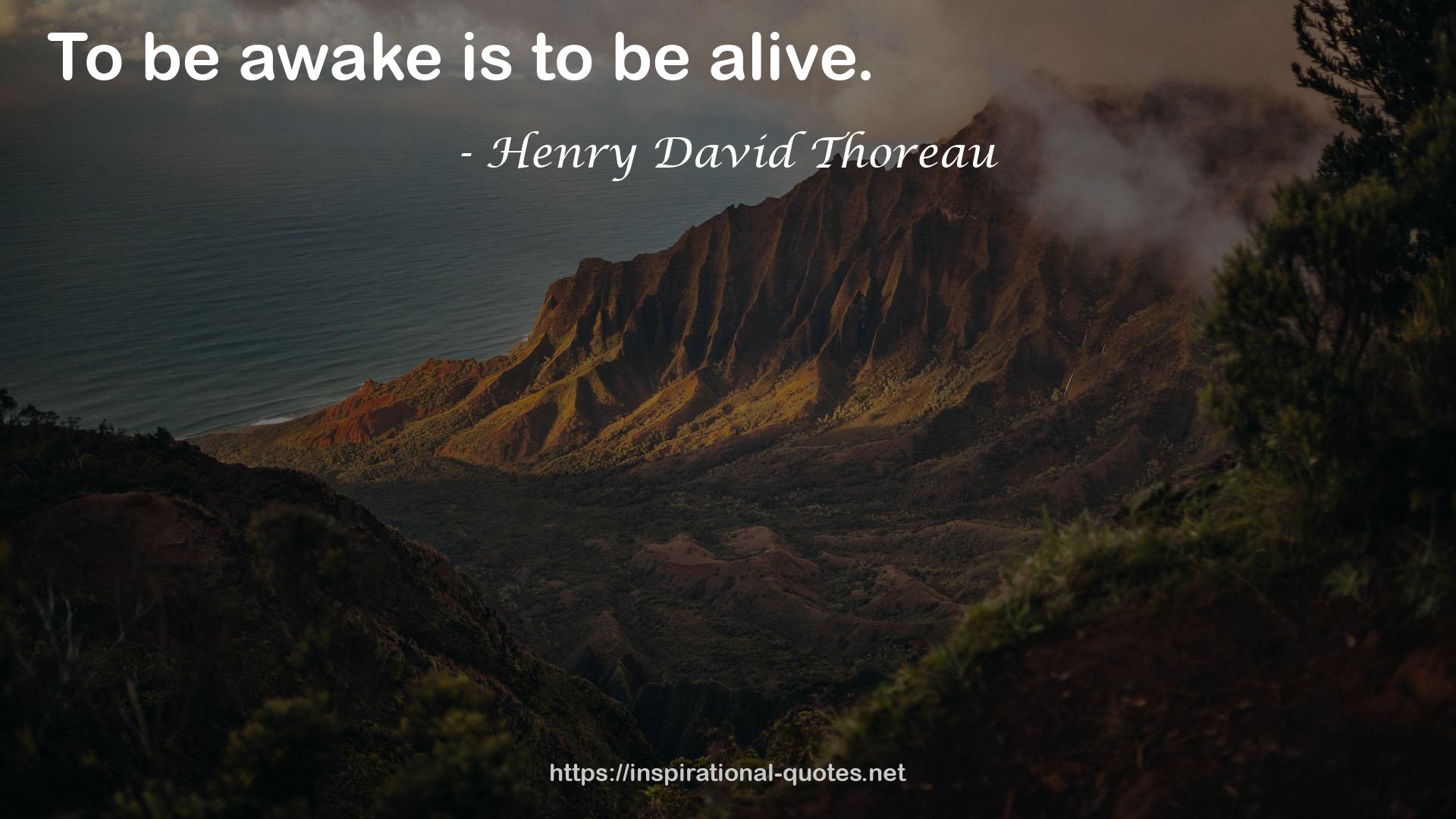 Henry David Thoreau QUOTES