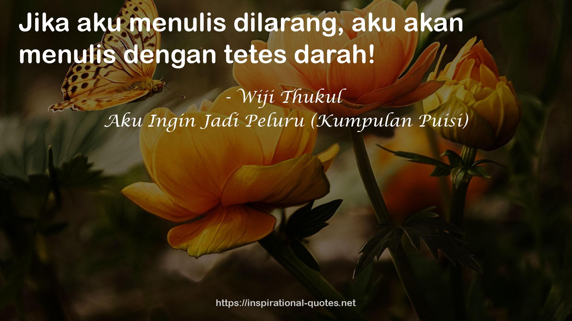 Aku Ingin Jadi Peluru (Kumpulan Puisi) QUOTES