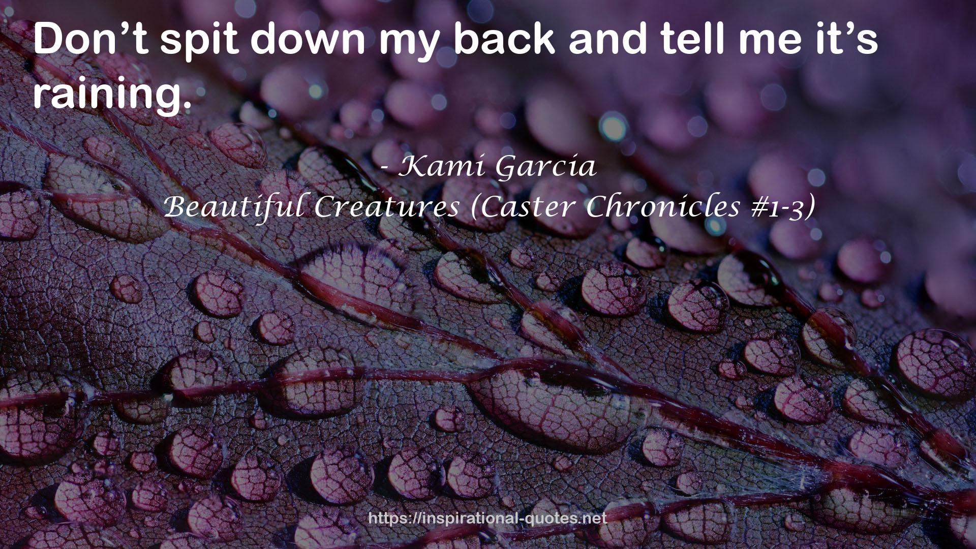 Beautiful Creatures (Caster Chronicles #1-3) QUOTES