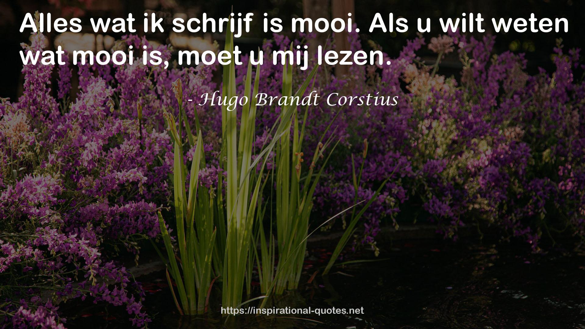 Hugo Brandt Corstius QUOTES