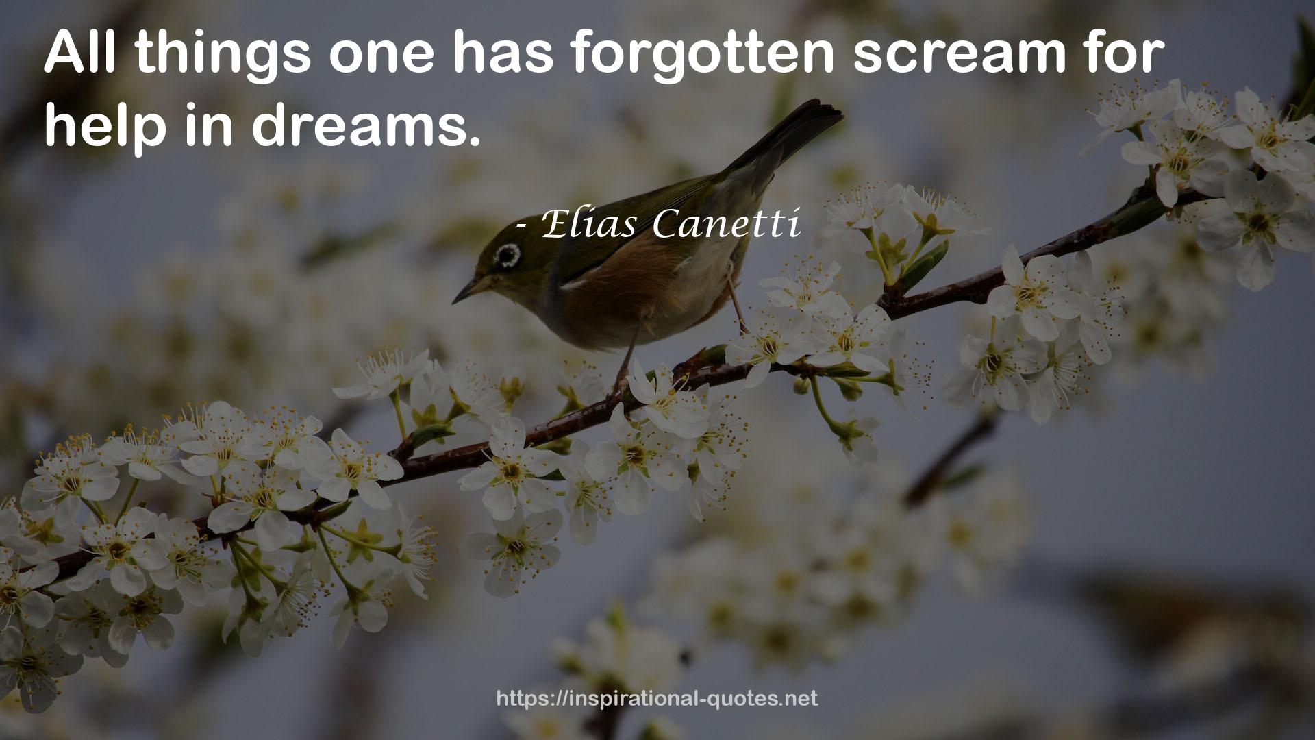 Elias Canetti QUOTES