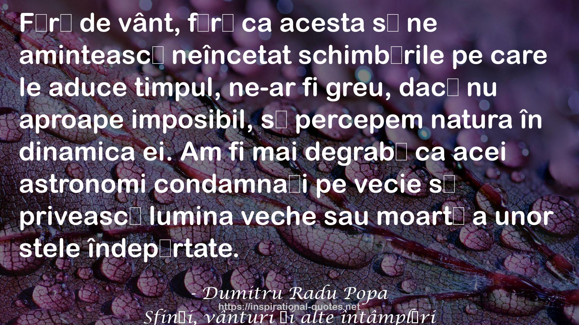 Sfinţi, vânturi şi alte întâmplări QUOTES