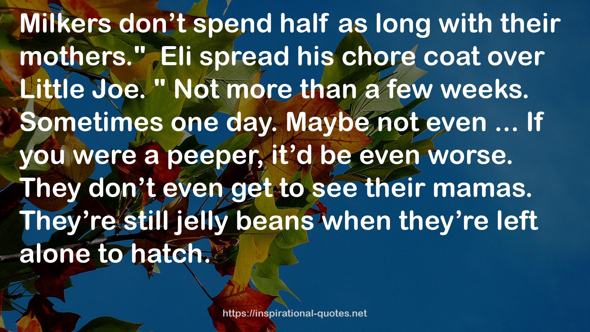 jelly beans  QUOTES