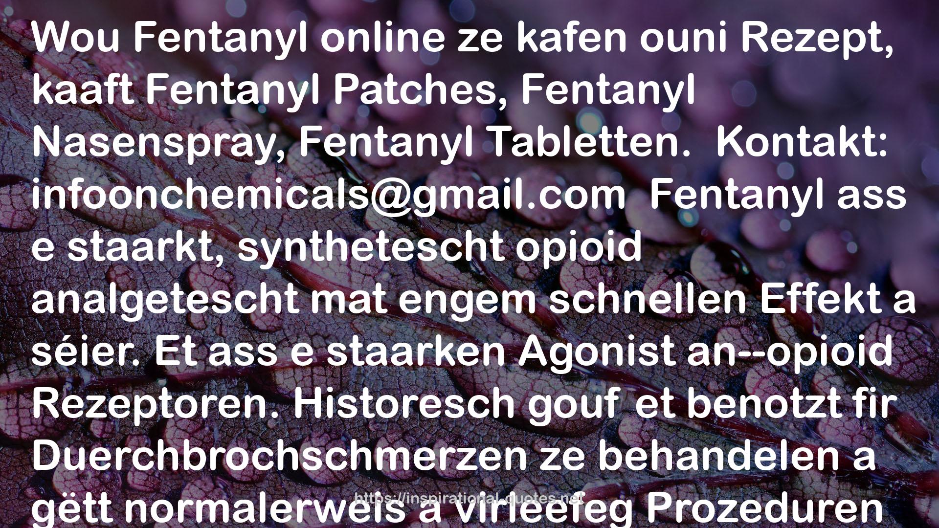 Wou Fentanyl online ze kafen ouni Rezept, kaaft Fentanyl Patches, Fentanyl Nasenspray, Fentanyl Tabl QUOTES