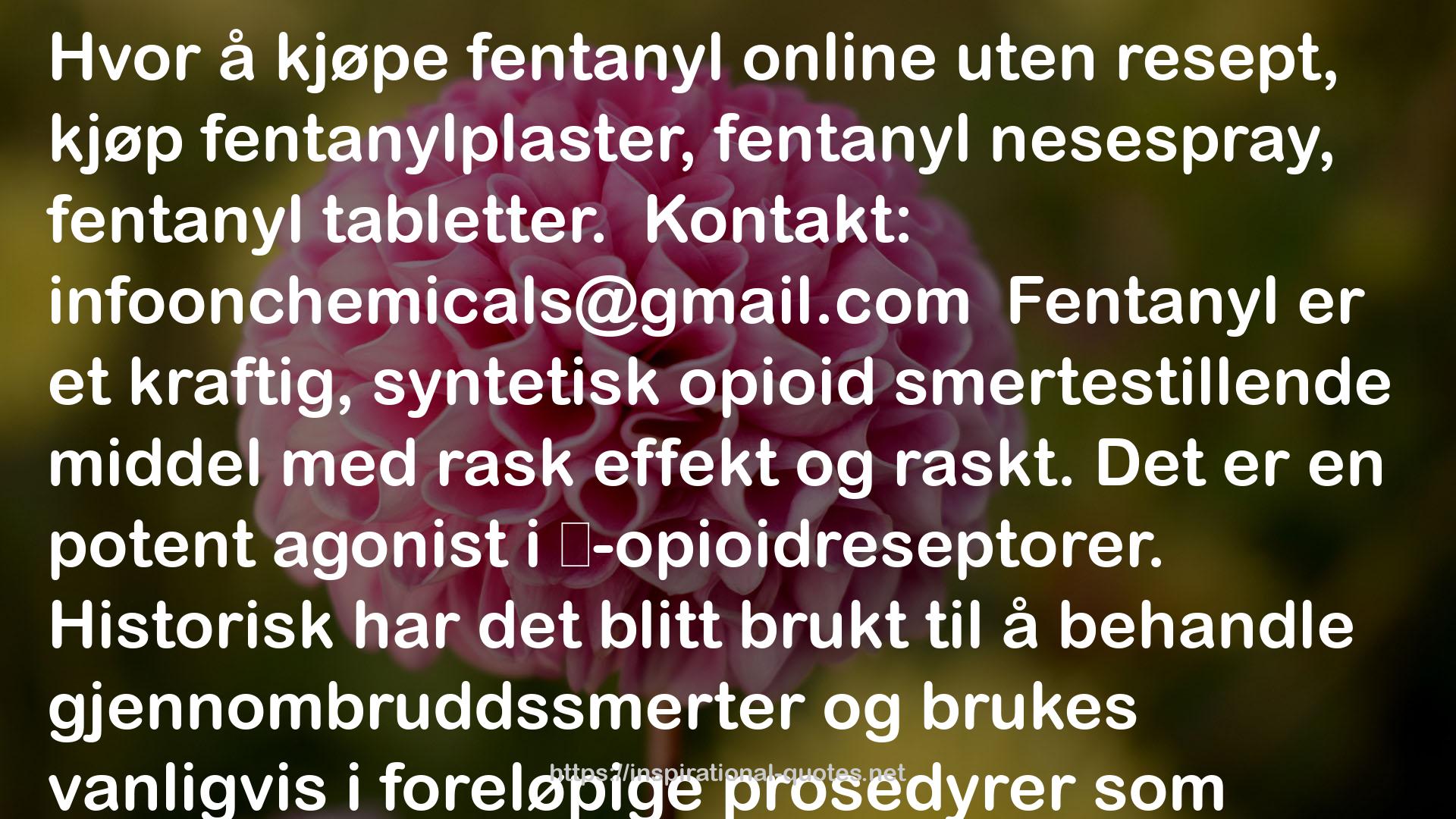 Hvor å kjøpe fentanyl online uten resept, kjøp fentanylplaster, fentanyl nesespray, fentanyl tablett QUOTES