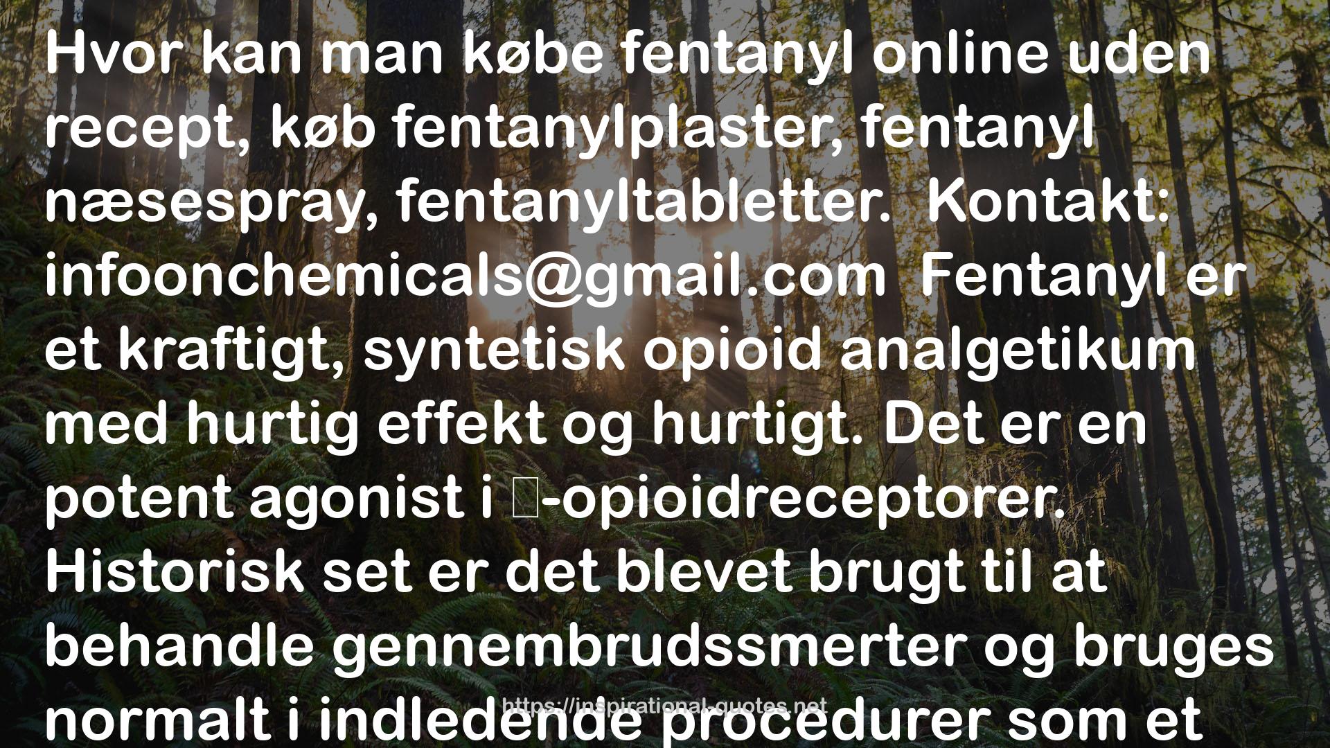 Hvor kan man købe fentanyl online uden recept, køb fentanylplaster, fentanyl næsespray, fentanyltabl QUOTES