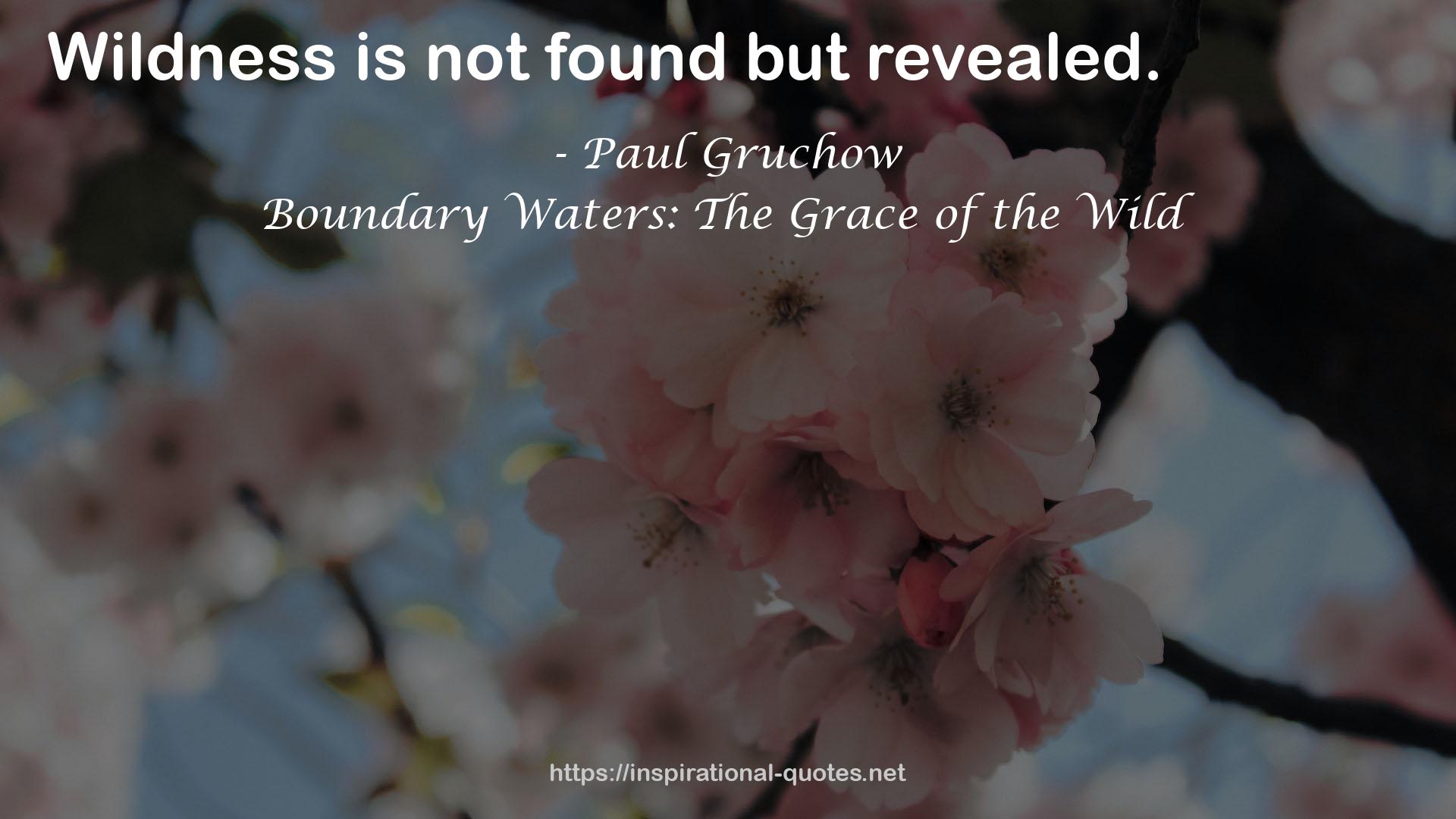 Boundary Waters: The Grace of the Wild QUOTES