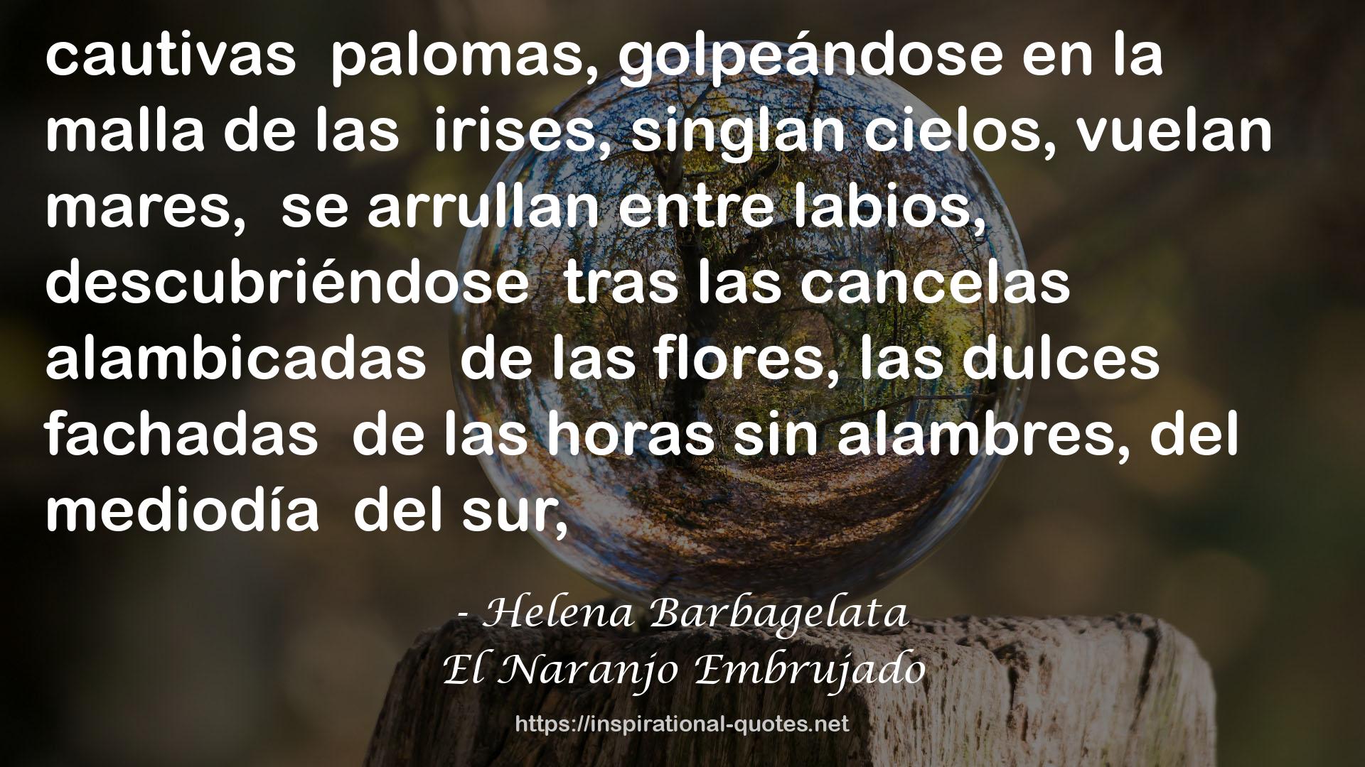 El Naranjo Embrujado QUOTES