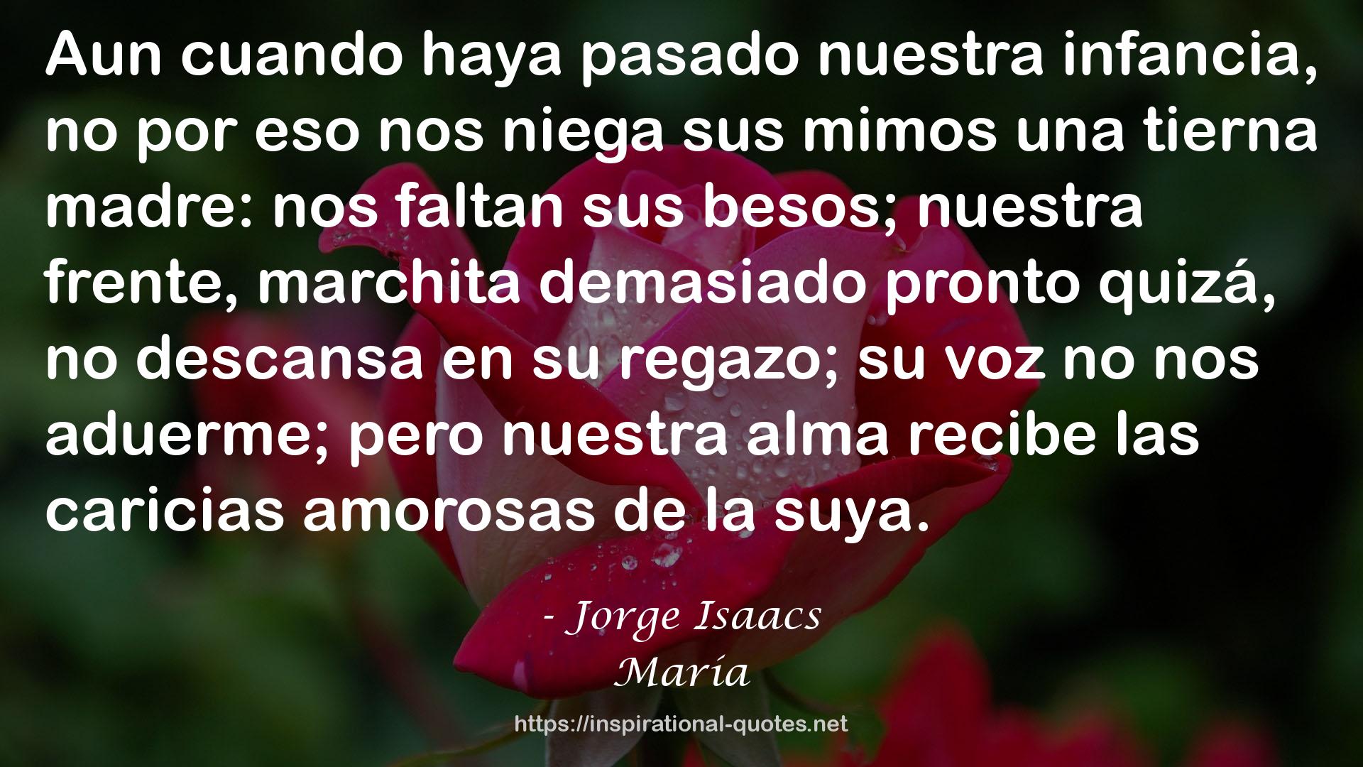 Jorge Isaacs QUOTES